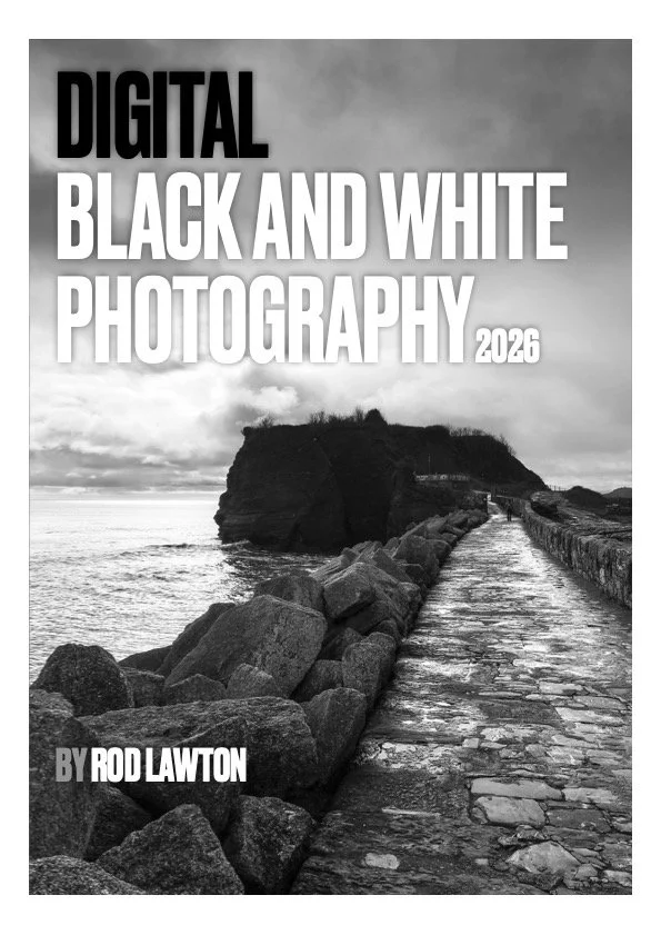 Black and white book cover.jpg