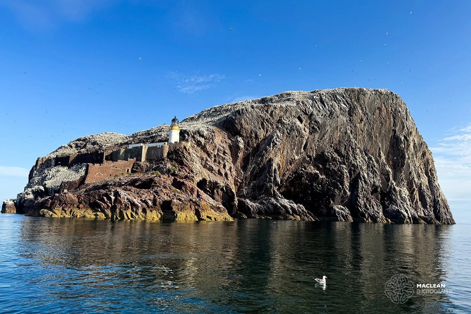 Bass Rock