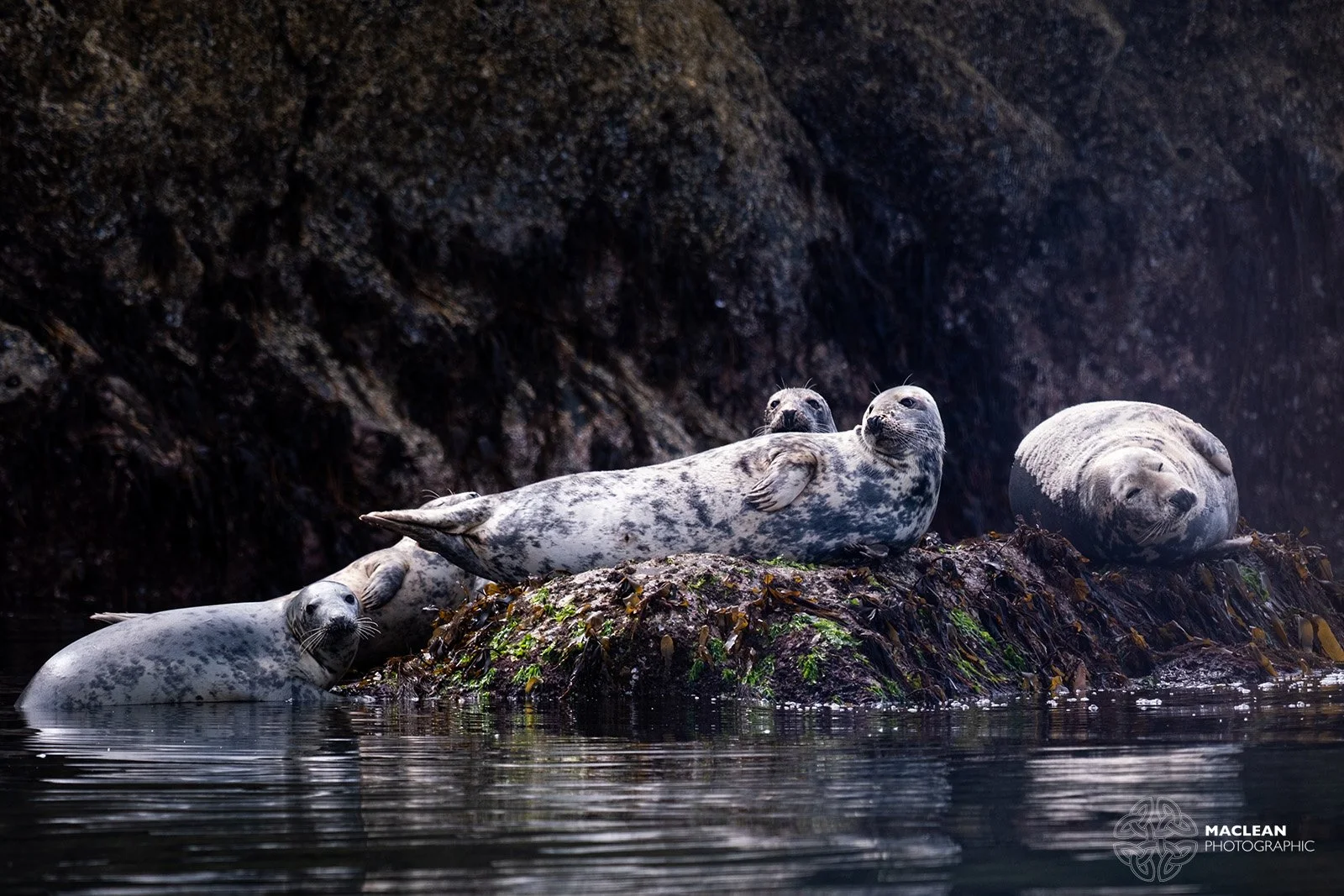 Seals
