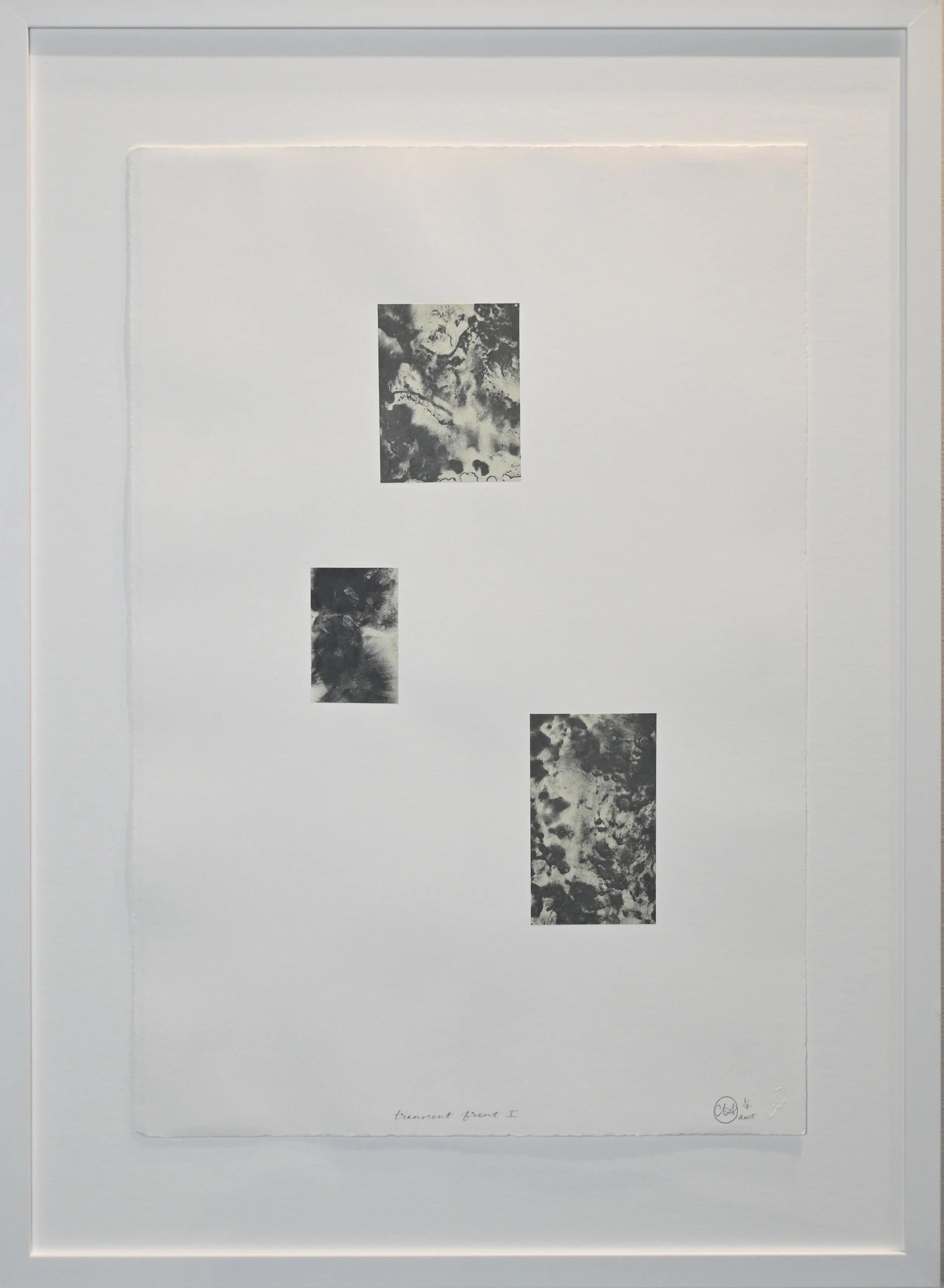 Claudia Husband - Transient front I