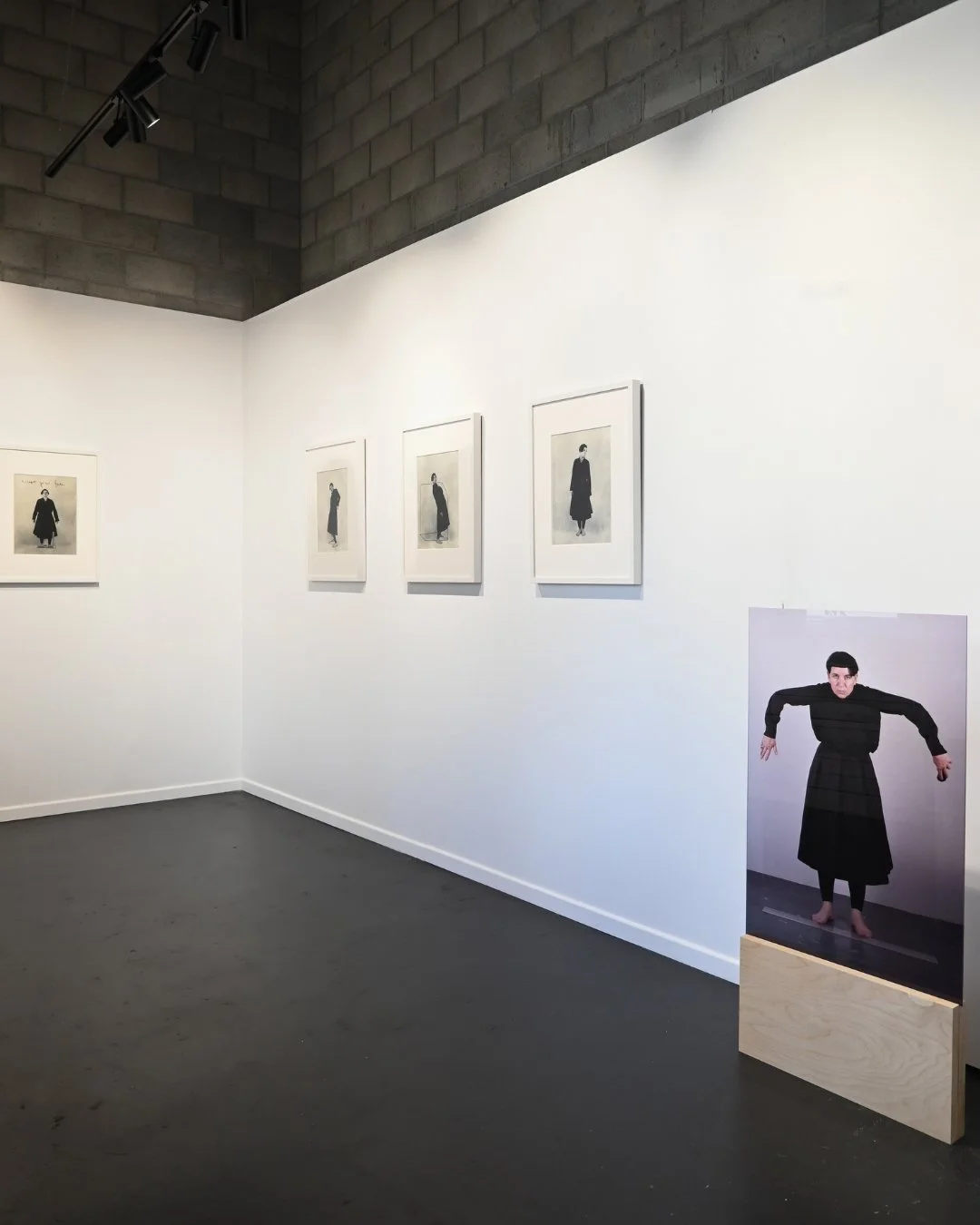 Carolyn Craig: Becoming Penguin II | July 3 - July 18