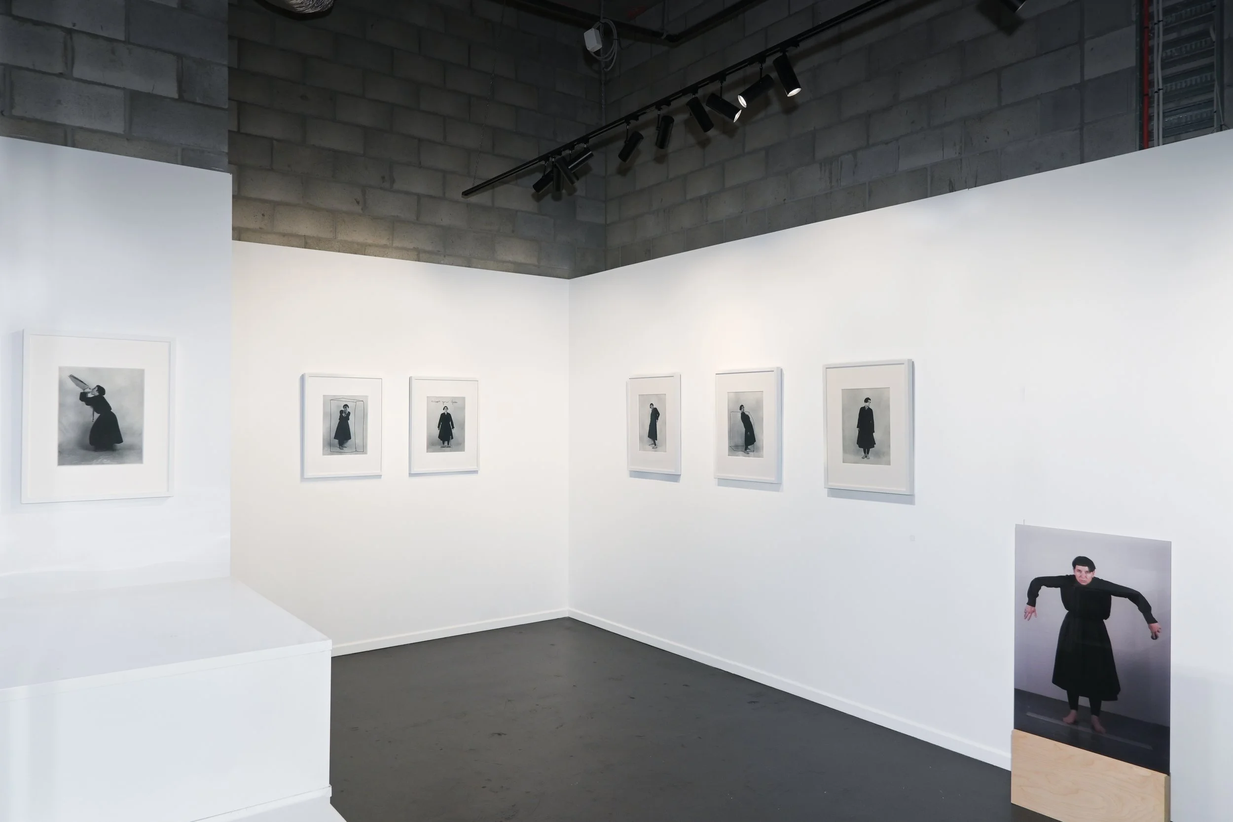 CURRENT | Carolyn Craig: Becoming Penguin II | July 3 - July 18