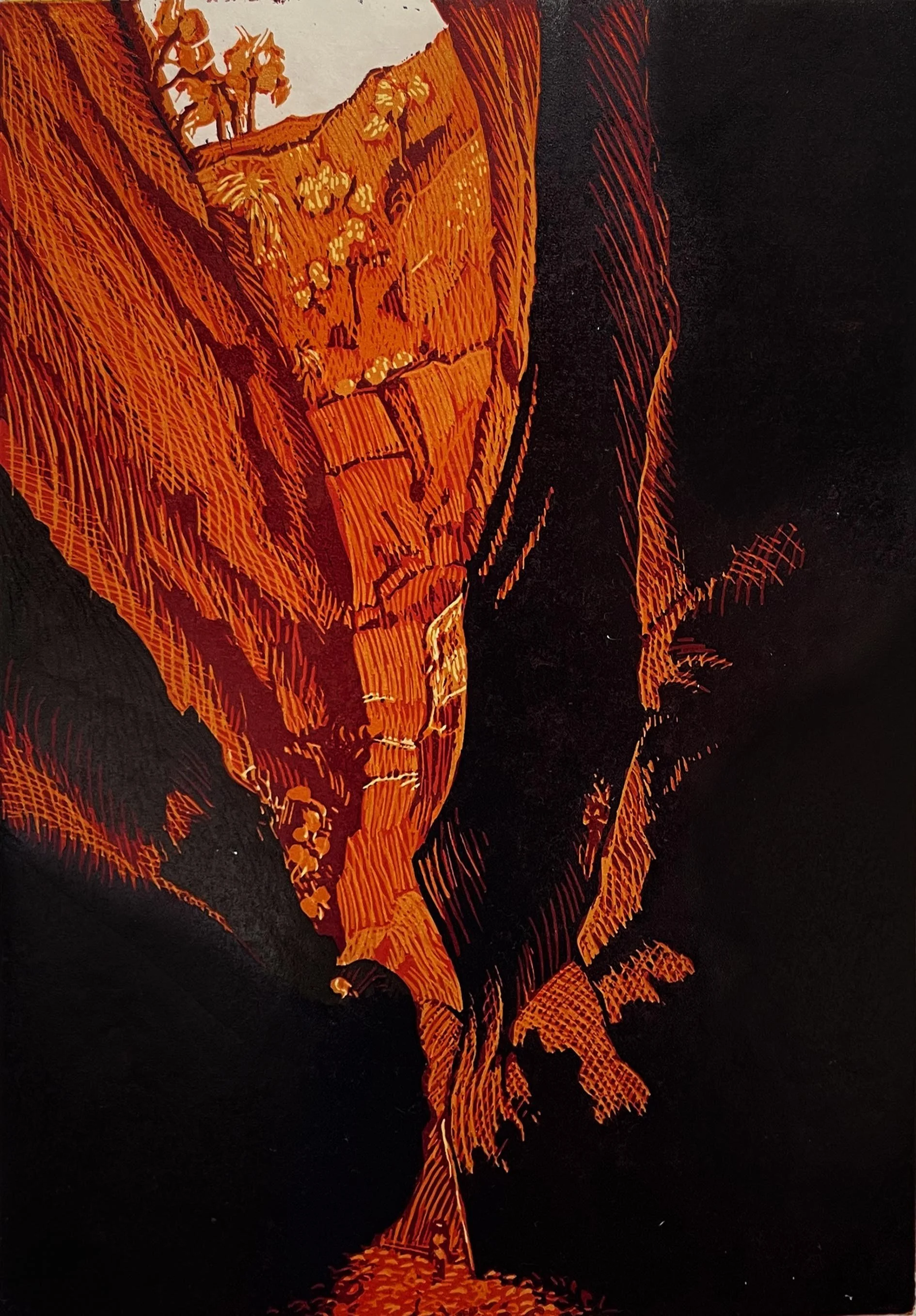 Tim Mosely - afternoon thunder in boowinda gorge