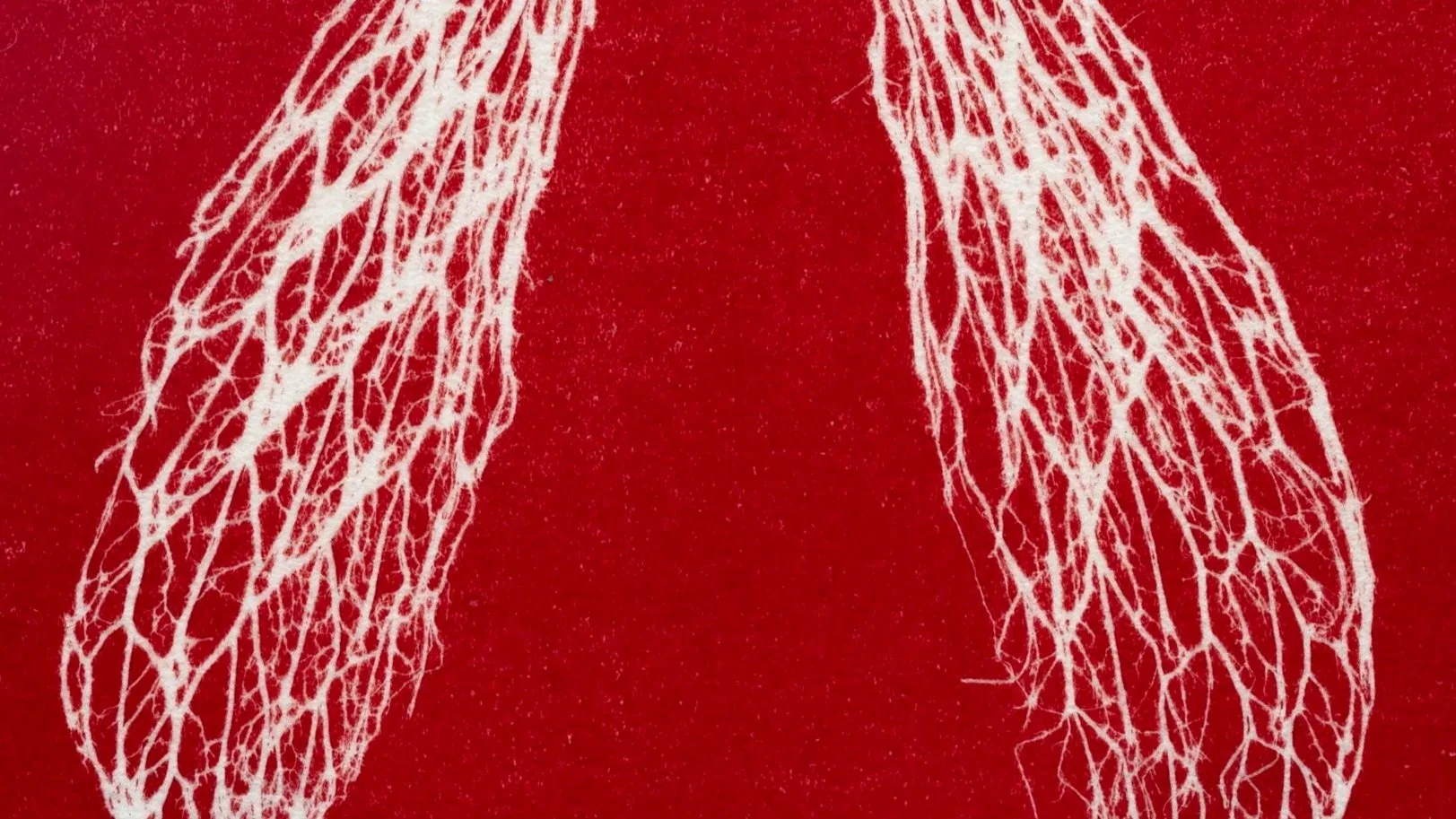 Cathy_Keys_Redcoat.jpg