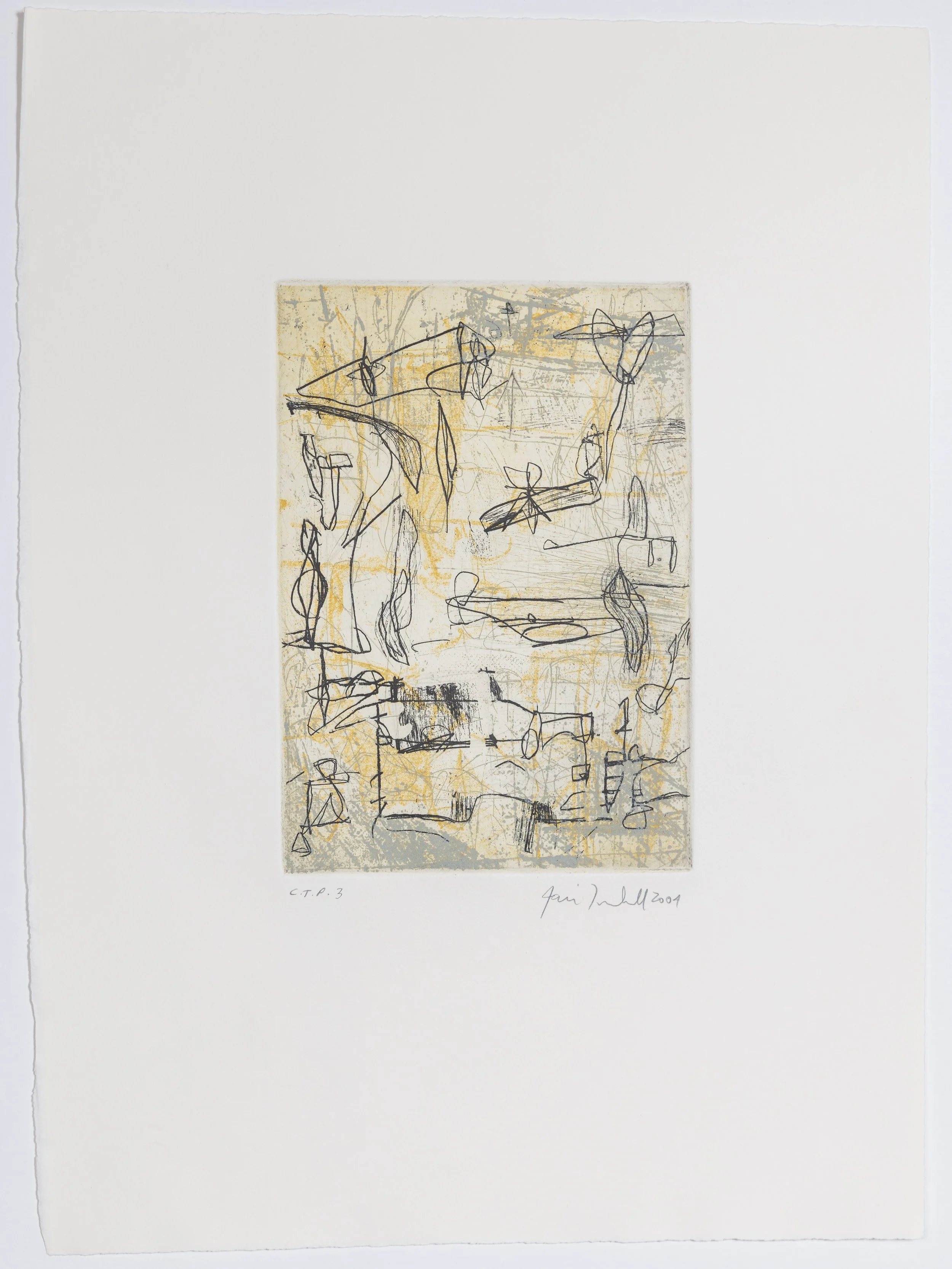 Iain Turnbull - untitled, 2004