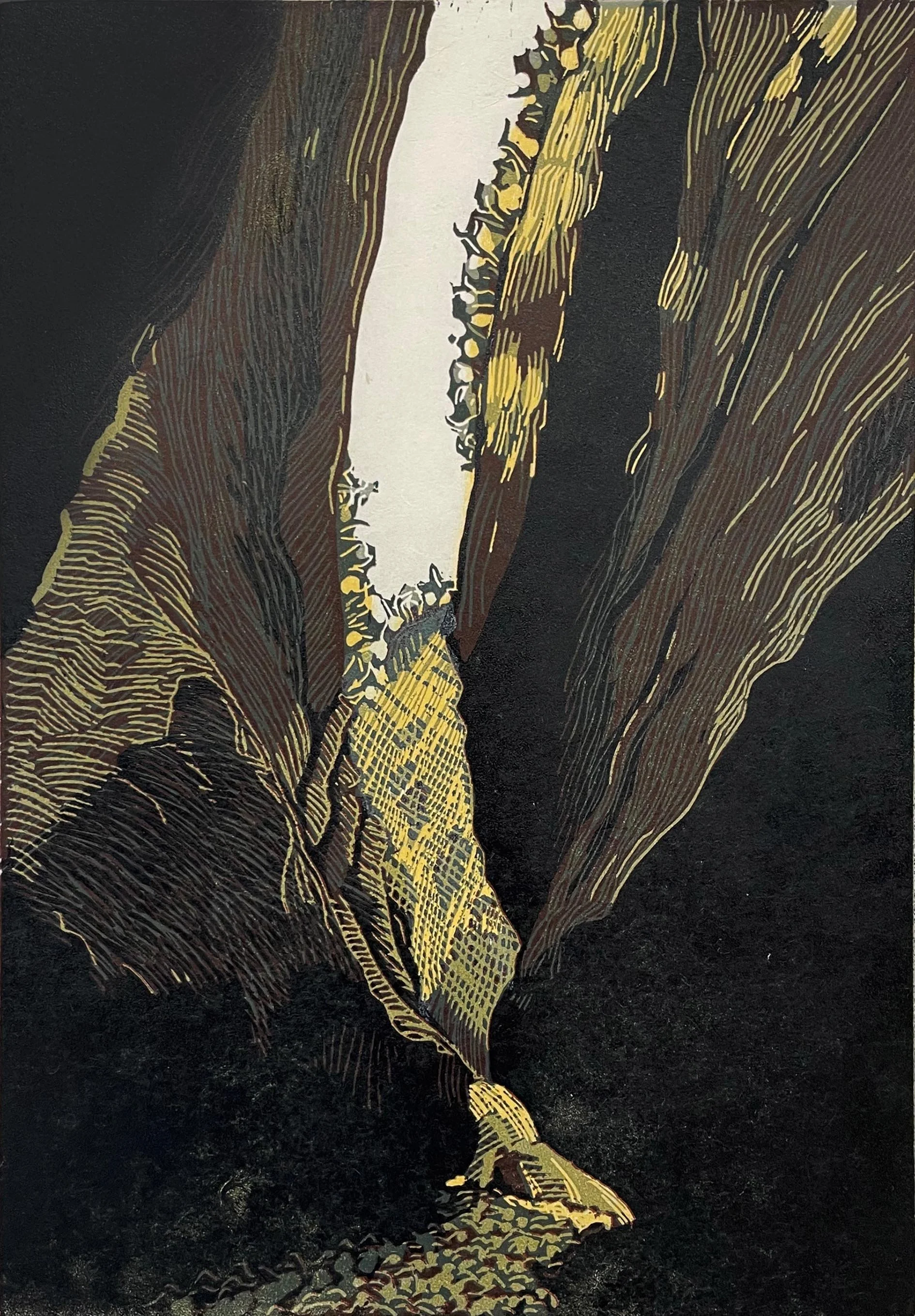 Tim Mosely - morning thunder in boowinda gorge