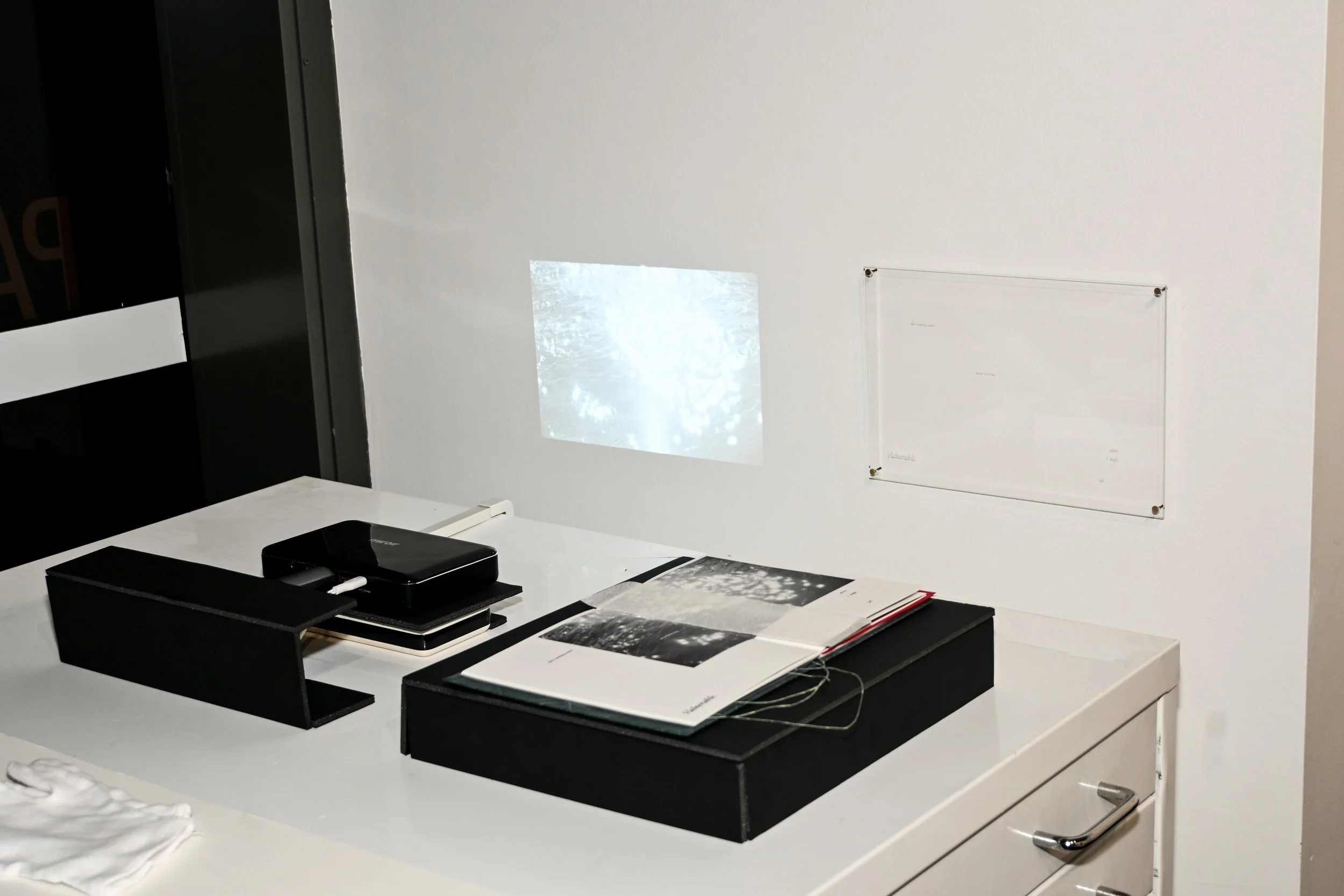 Maria Hill - Complete portfolio (Vulnerable & Siento y siento)