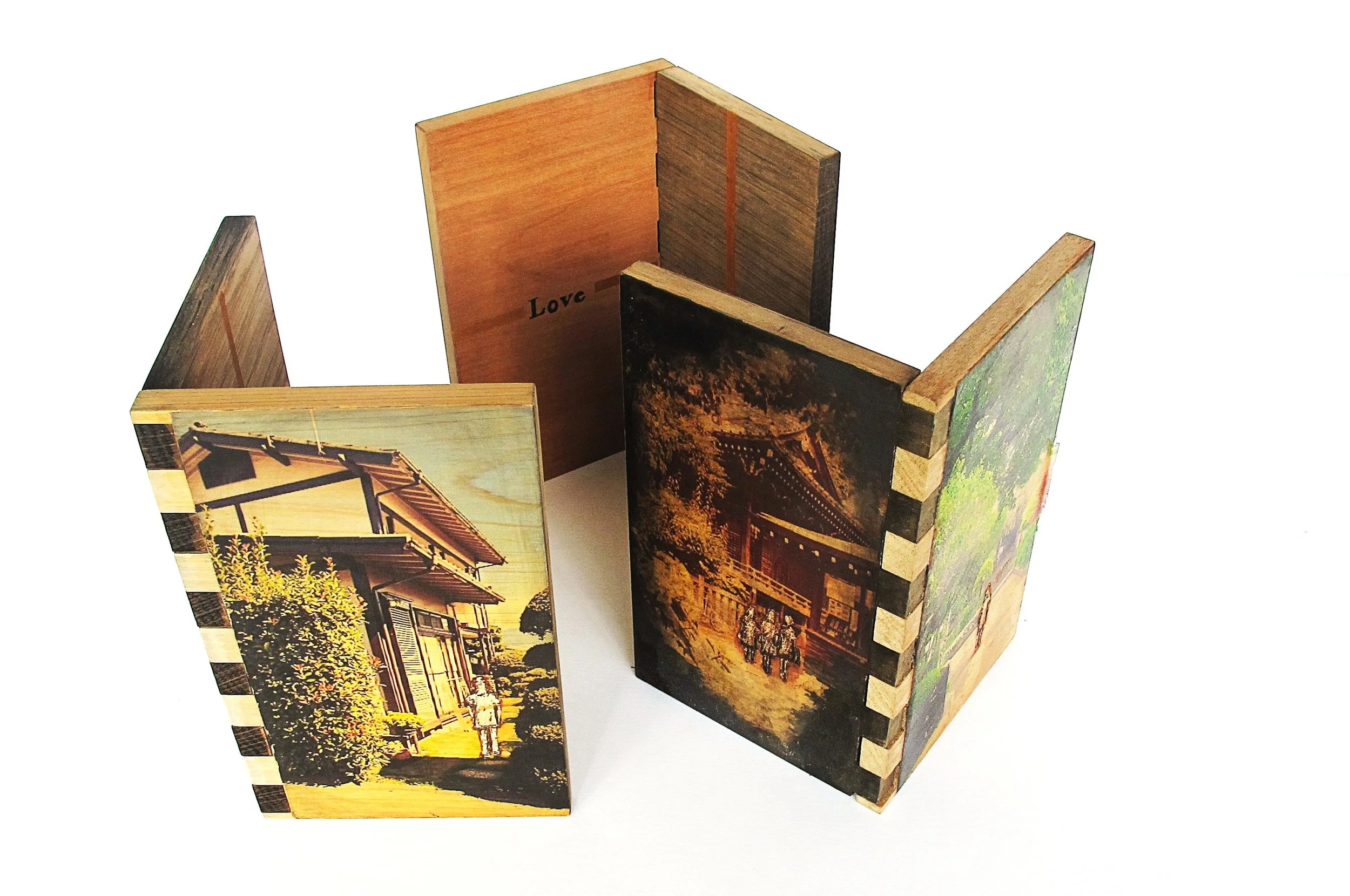 Mika Nakamura-Mather - Books of Life II