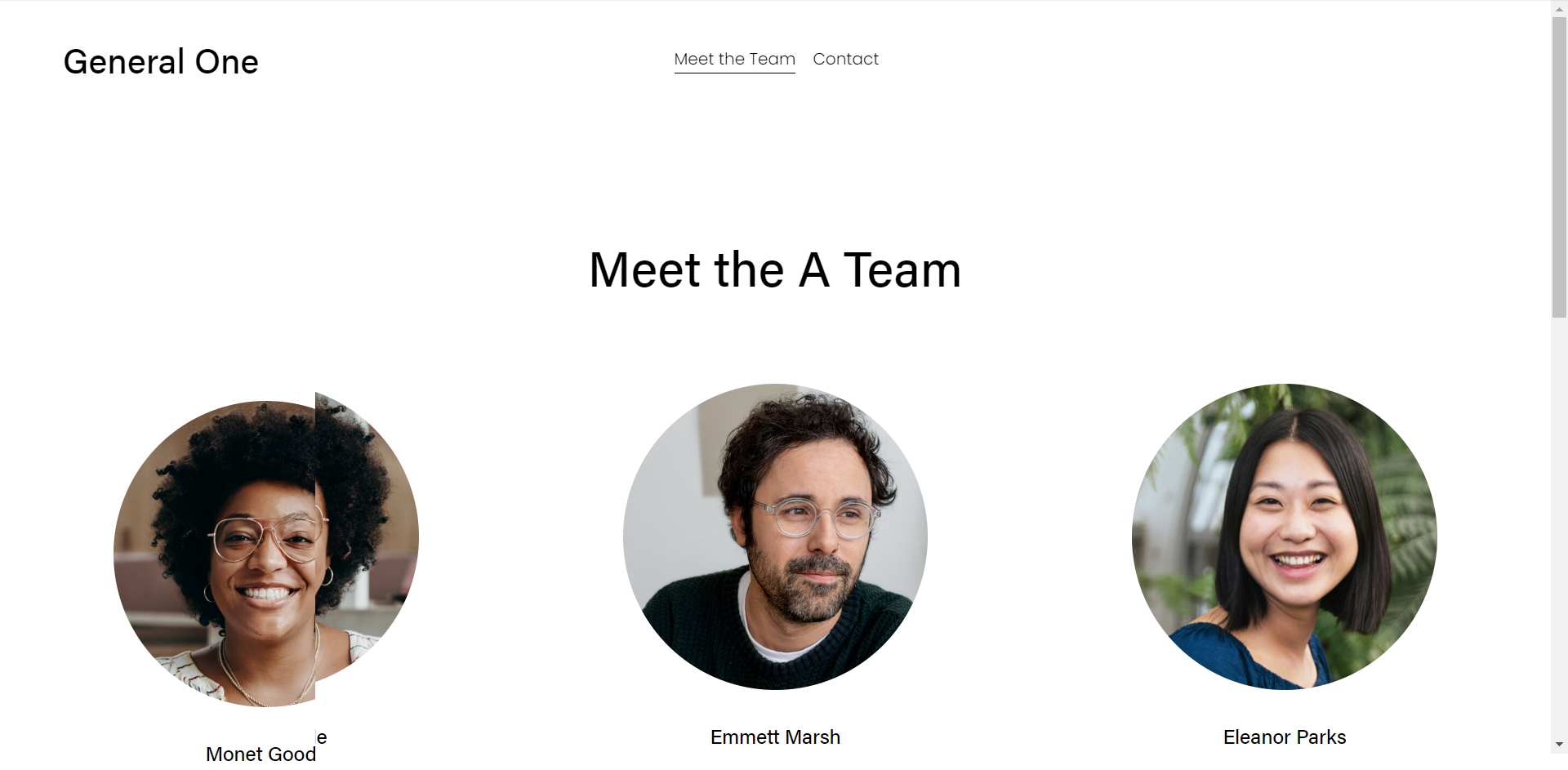 screencapture-thegeneralone-squarespace-team-2024-10-10-09_08_18.png