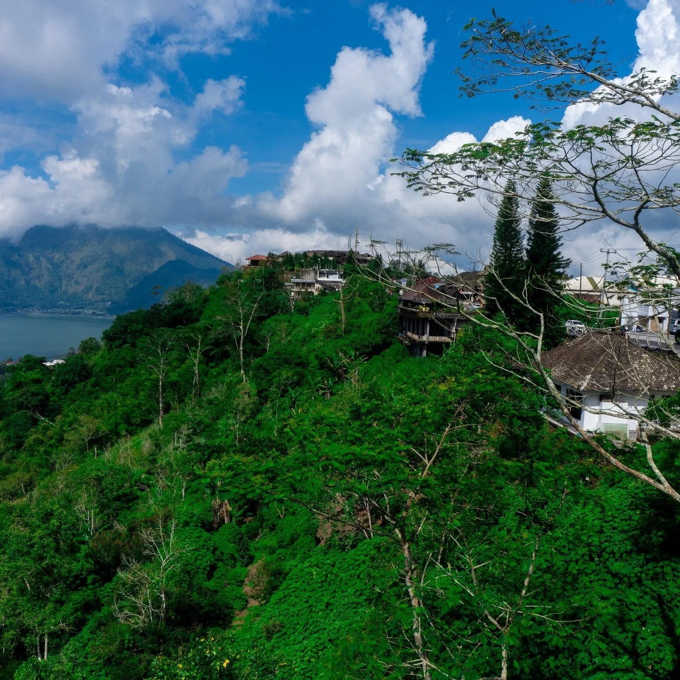 📍Ubud
📷Sony ILCE-6400
1/320
f/11
ISO 125

Ricefield Ubud
02/05/25