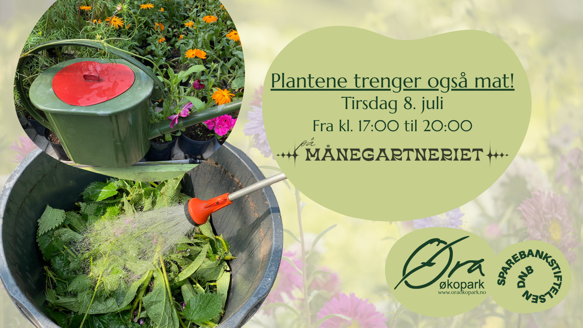 Plantene trenger også mat 🌱