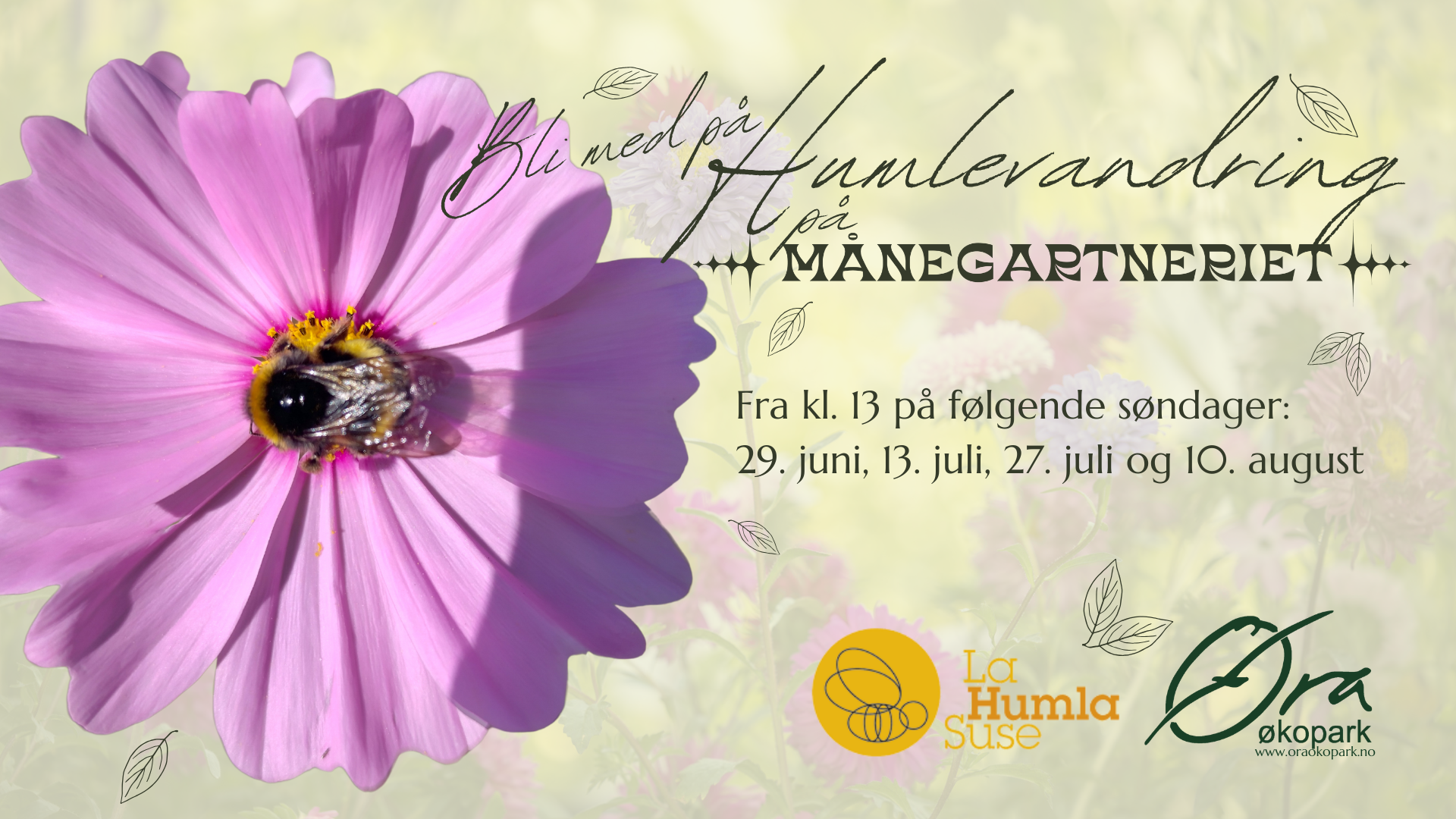 Humlevandring på Månegartneriet 🐝