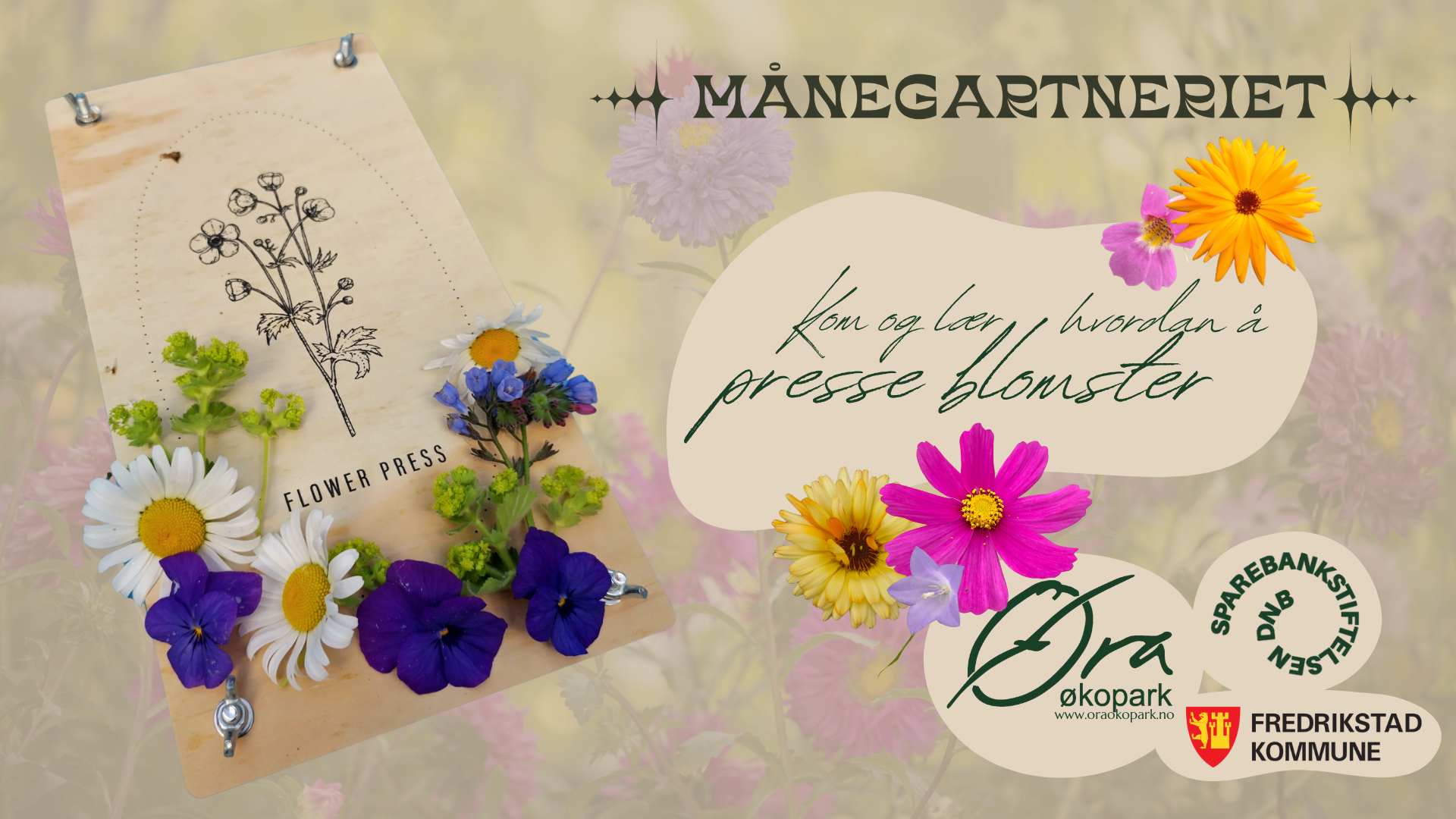 Lær å presse blomster 🌸📚