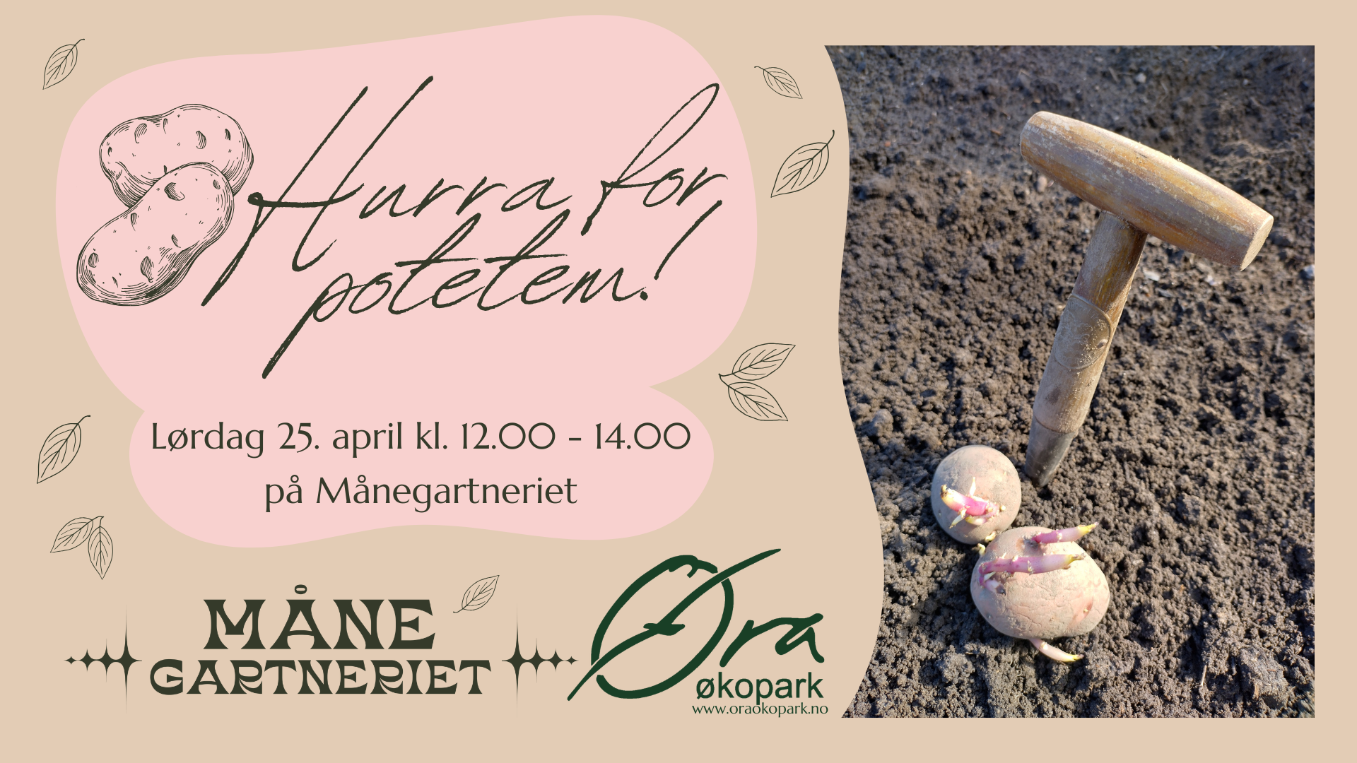 Hurra for poteten!