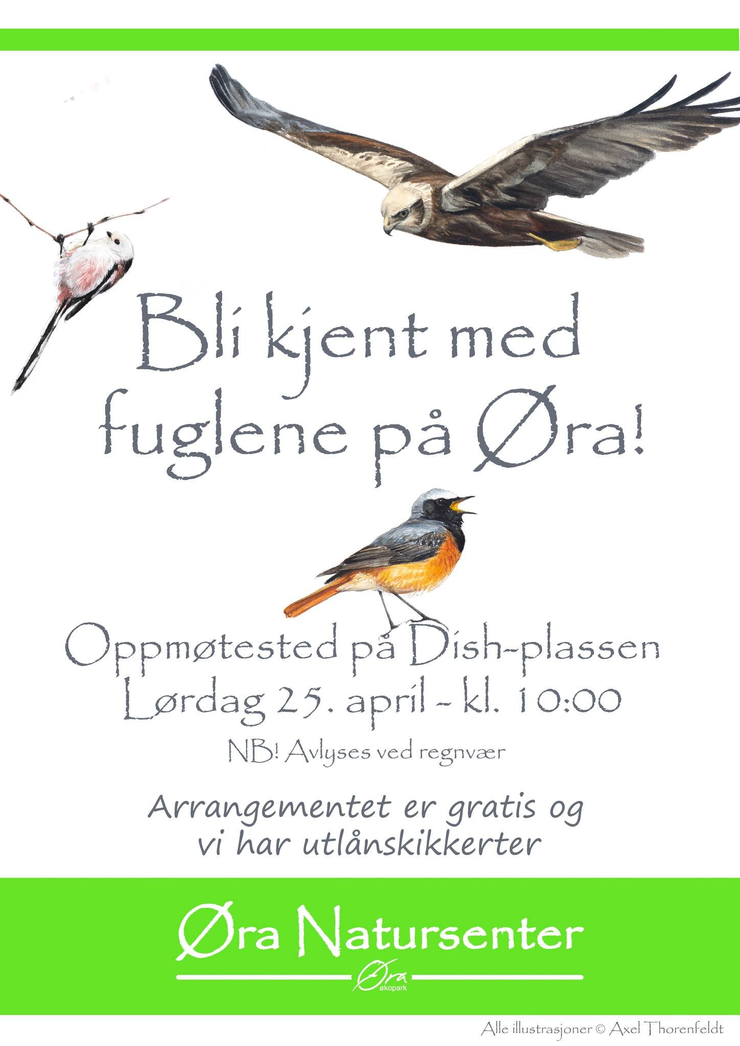Bli kjent med fuglene på Øra!