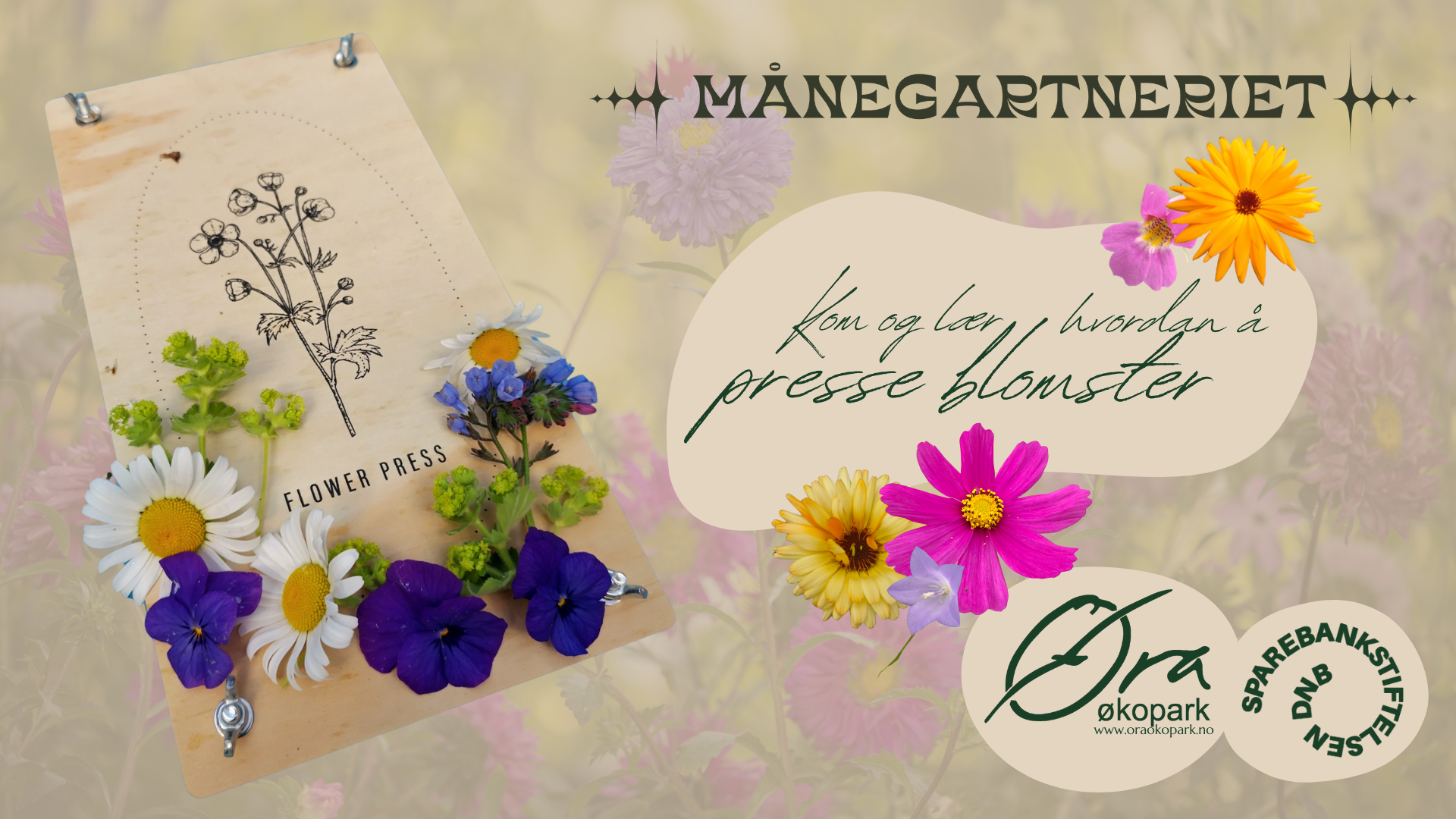 Sommerverksted med pressede blomster 🎨🌼