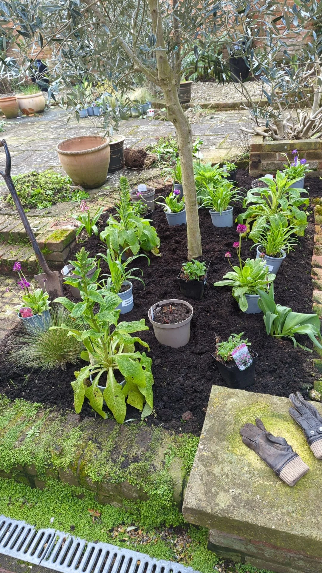 Top Dressing And New Cottage Style Planting