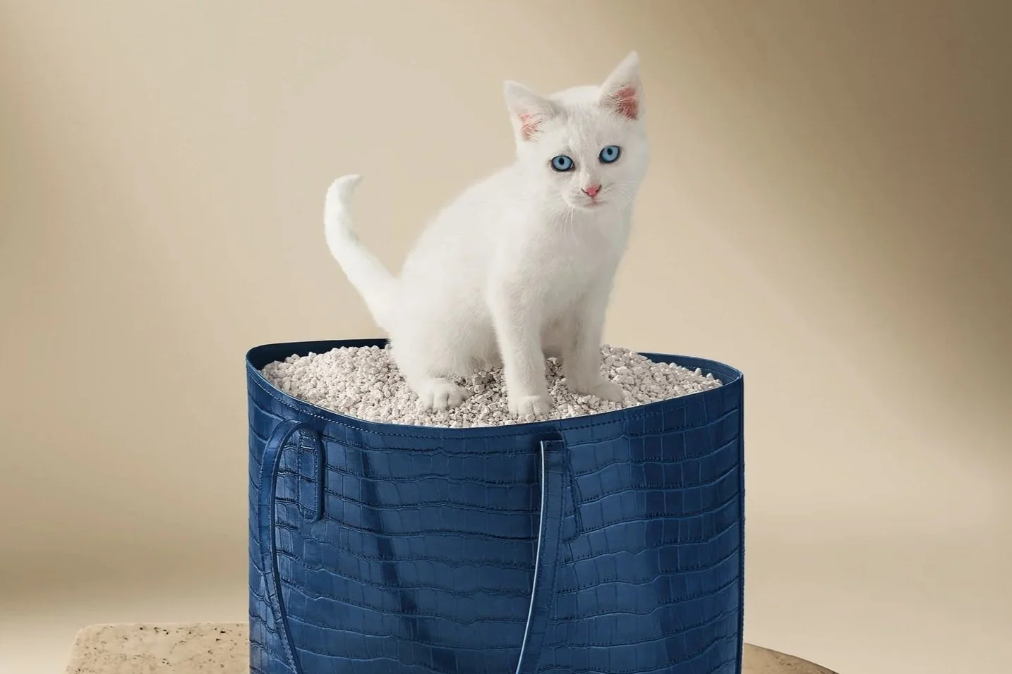 Catsan: Luxe Litter
