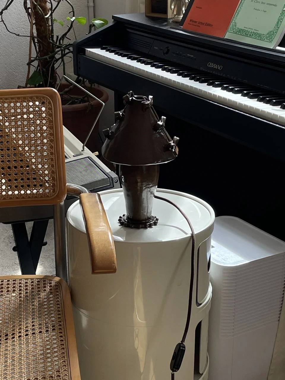 photo_2026-03-11_11-29-56 (2).jpg