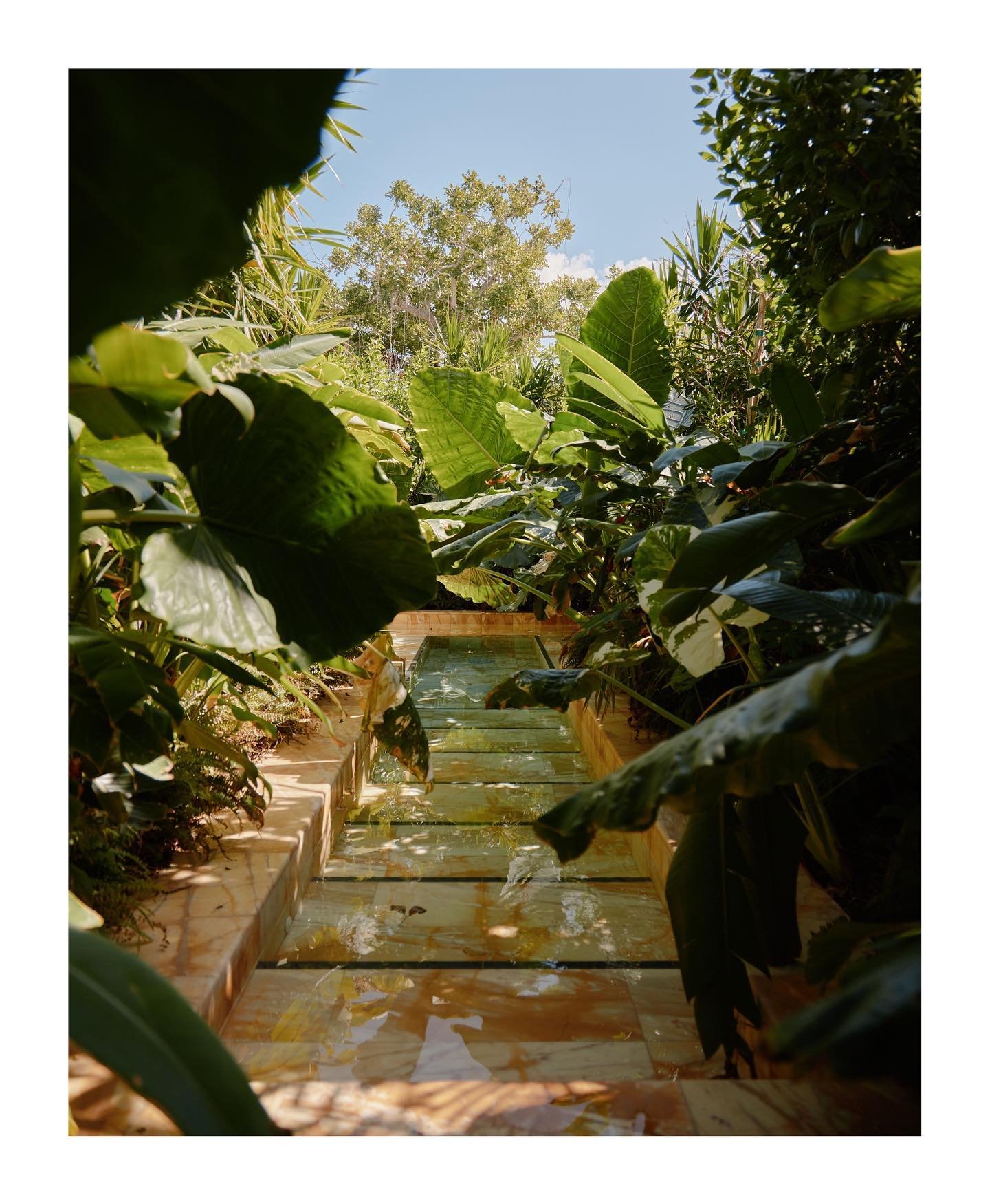 With athlete led workshops, residencies, personalised holistic treatments and tailored athletic training programs @gardenclubgc at @palmheightsgc is one of our favourite wellness spots in the Caribbean ☀️ 
&bull;
&bull;
&bull;
#wellness #gardenclubgr