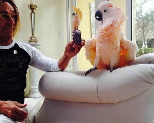 Biggy Pop is our Founding Patron