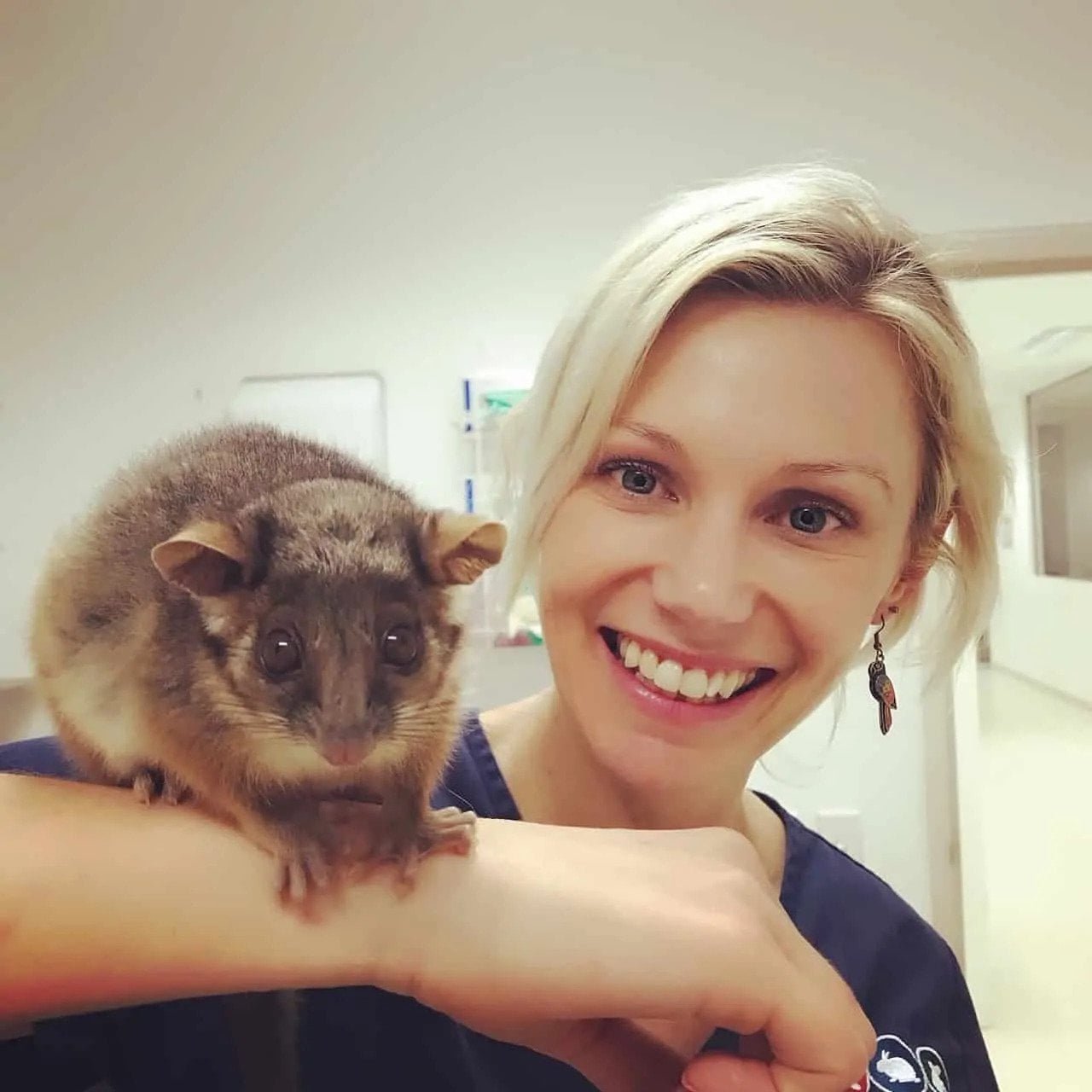 Byron Bay Wildlife Hospital Open for Business
