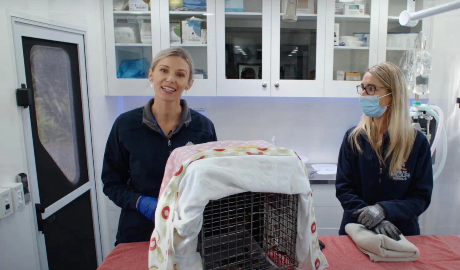 Meet Our Wildlife Friendly Vets