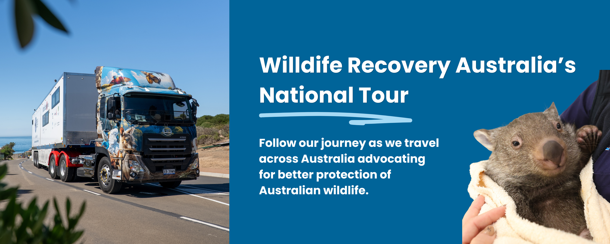 BBWH Banner - National Tour (1).png