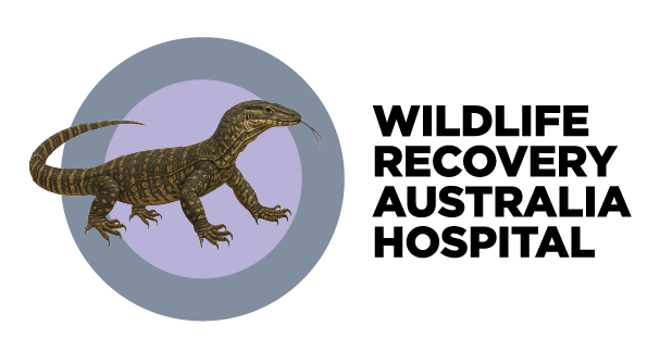 WRAH_Small_Master Logo_Colour.png