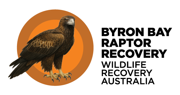 BBRS_Small_Master Logo_Colour.png