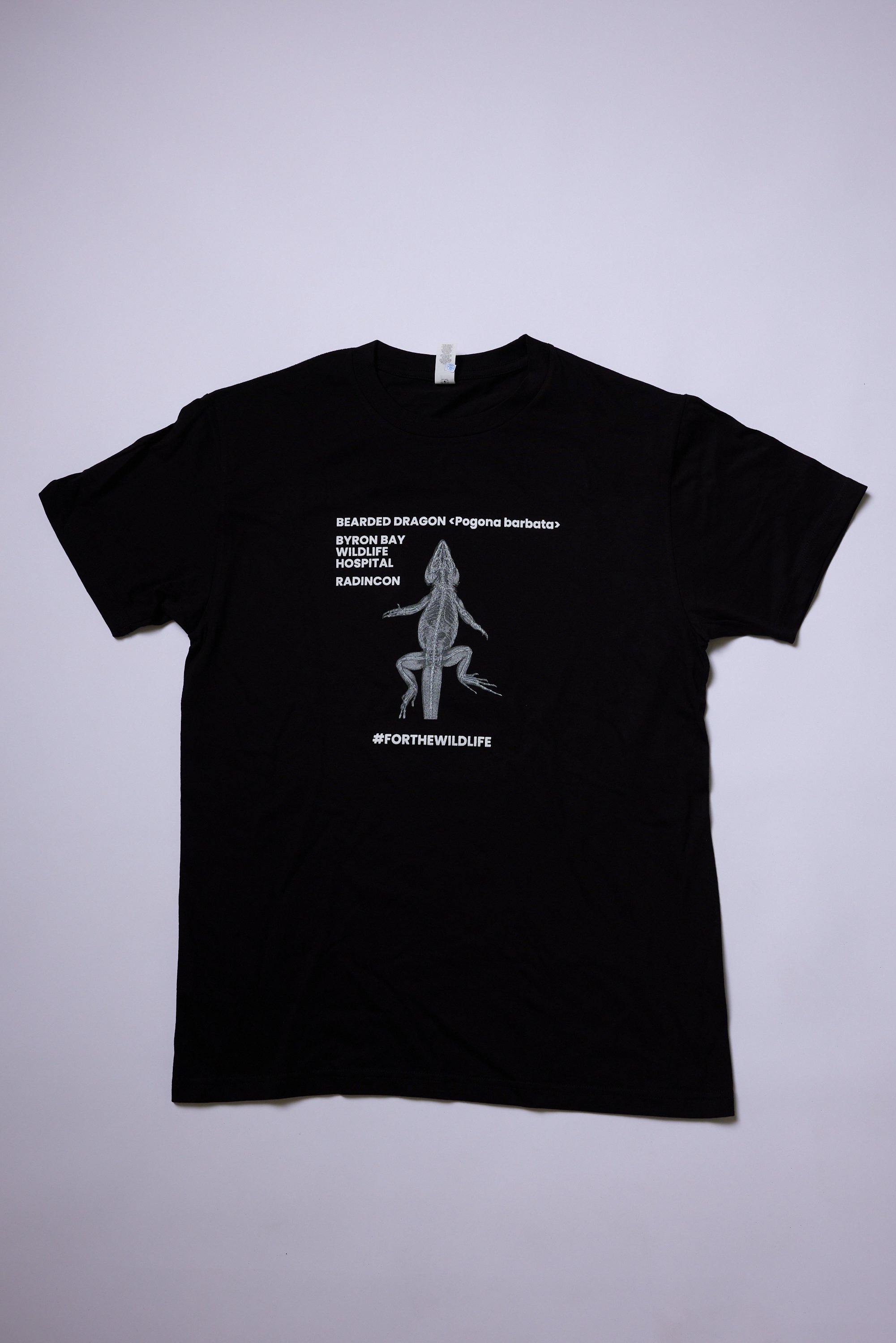 bbwh_wild058A2485 (1).jpg