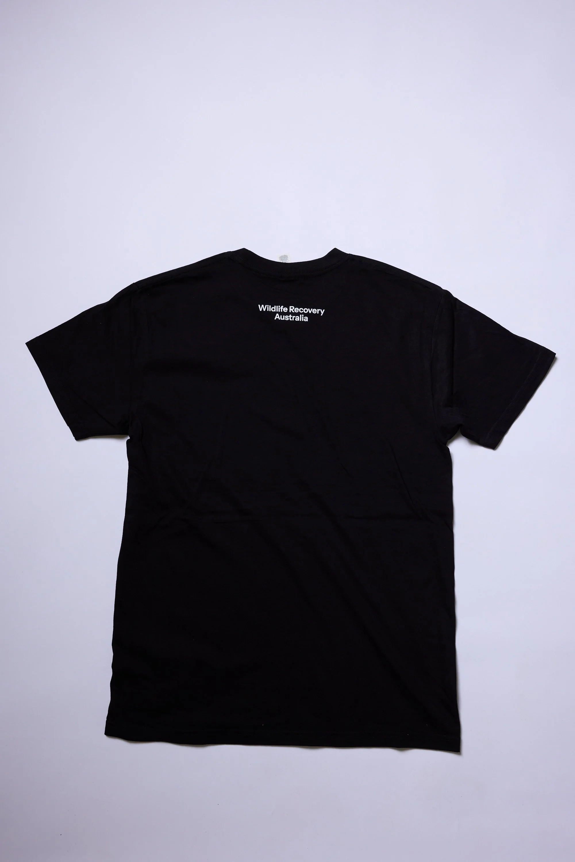 bbwh_wild058A2481 (2).jpg