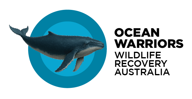 OW_Small_Master Logo_Colour.png