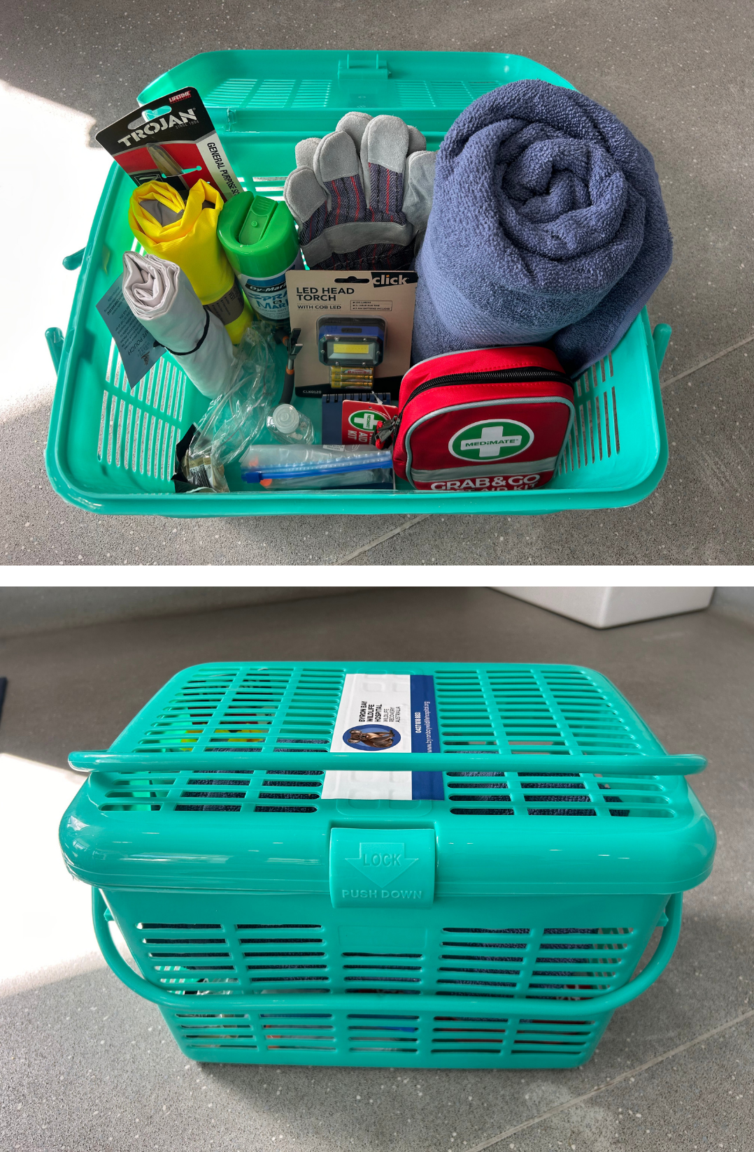 Untitled design (6).png