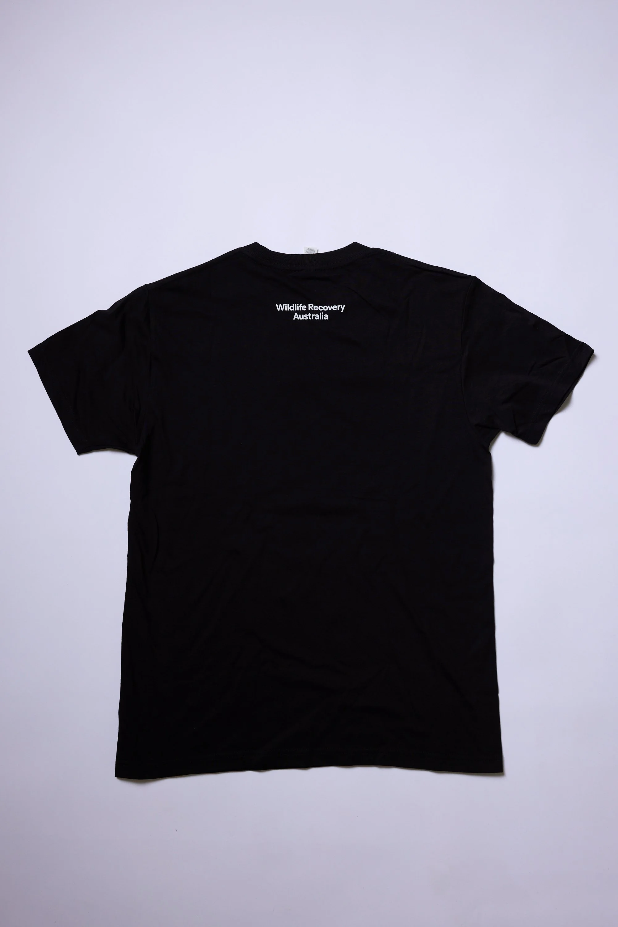 bbwh_wild058A2486 (2).jpg