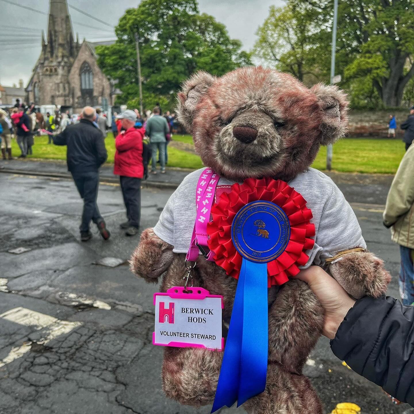 Bari Bear was out and about today for the annual riding of the bounds

#BerwickBounds2024