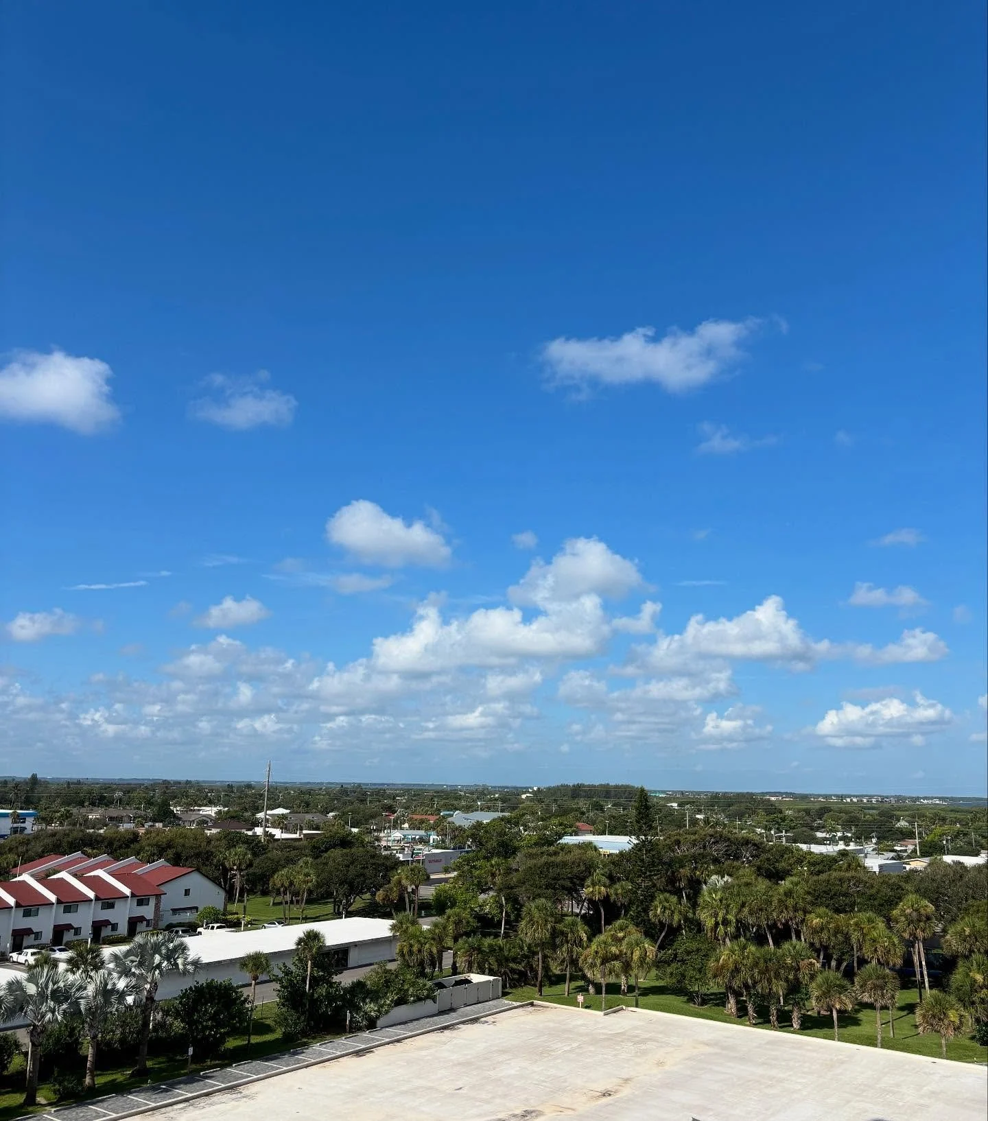 Blue skies. Green trees. Life is beautiful.