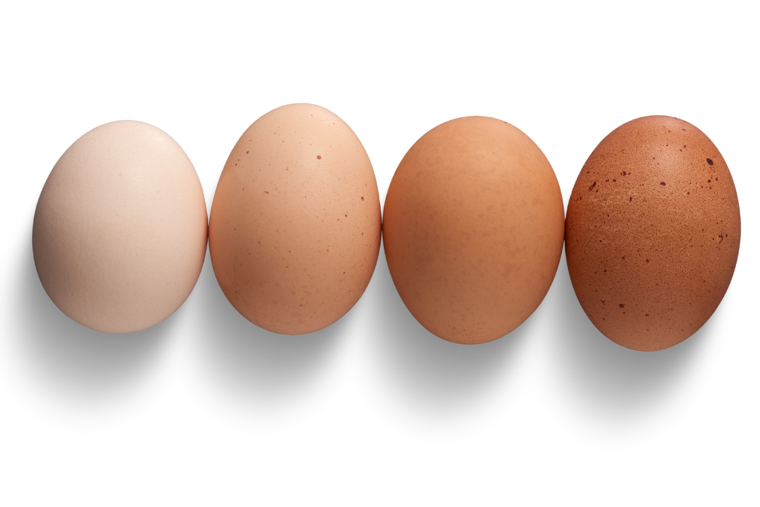 Ovos: Um Superalimento Natural