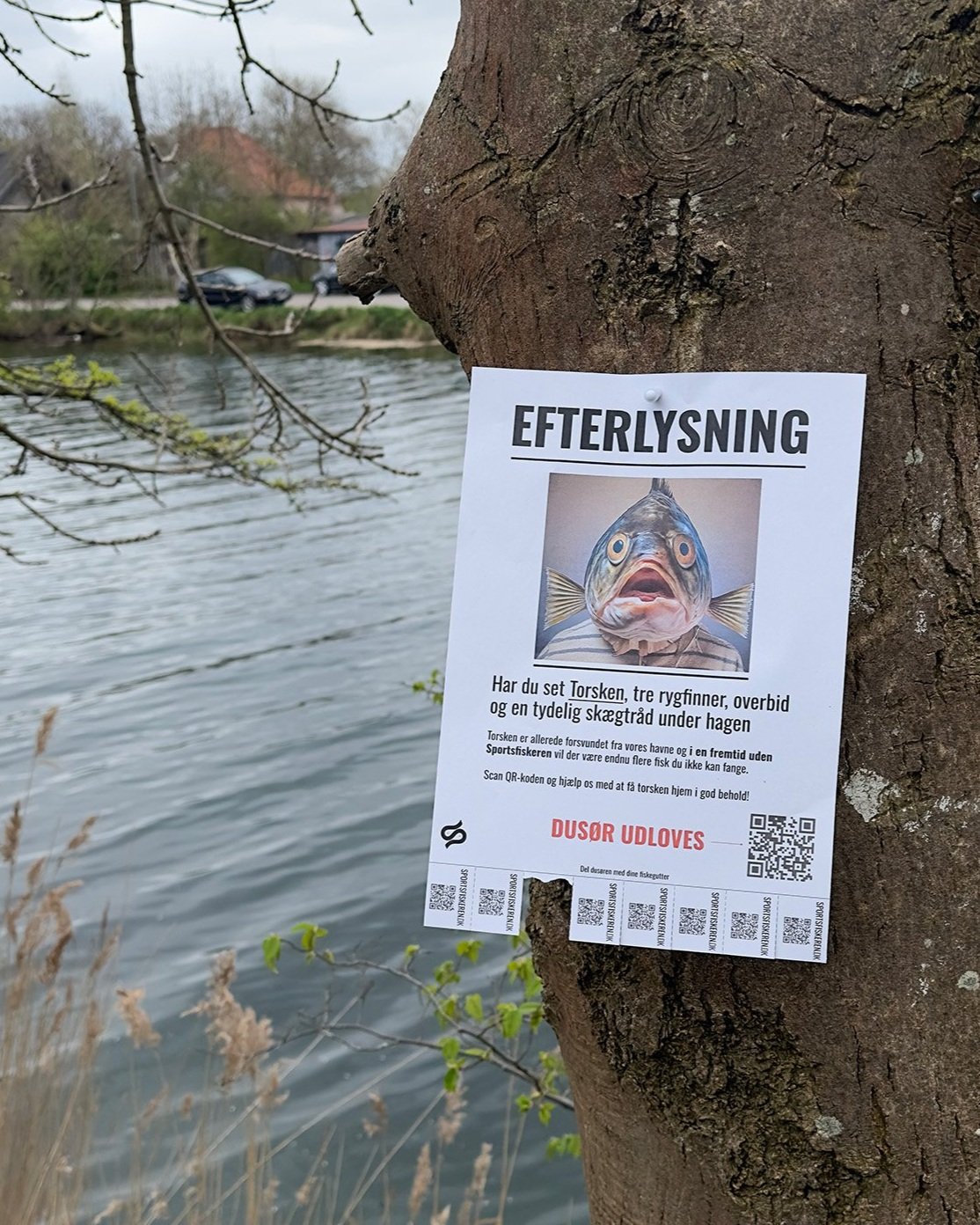 efterlyst-ved-vand.jpg