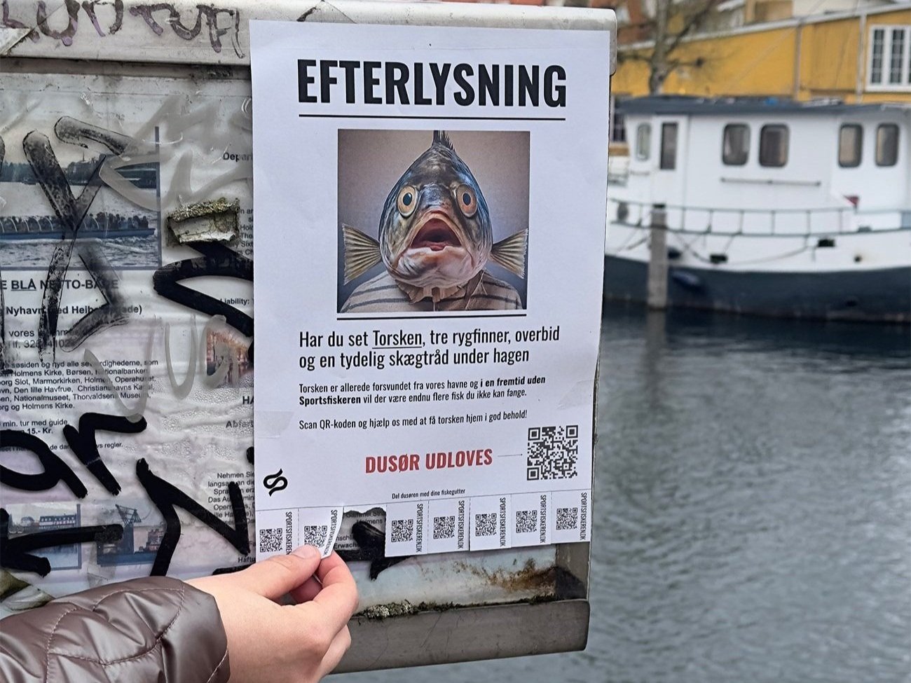 wanted-ripped.jpg