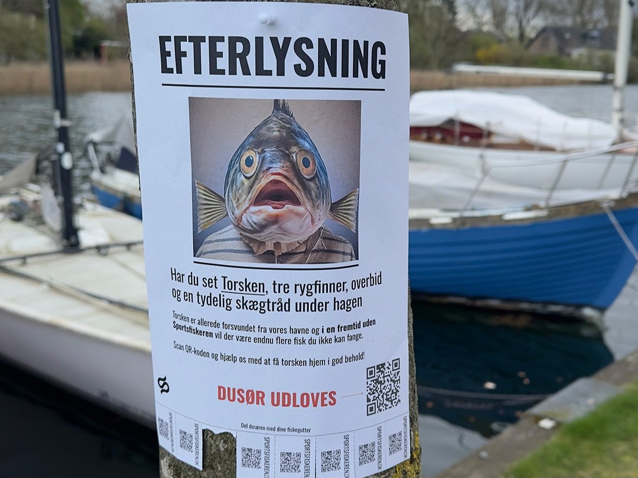 efterlyst-ved-baad.jpg