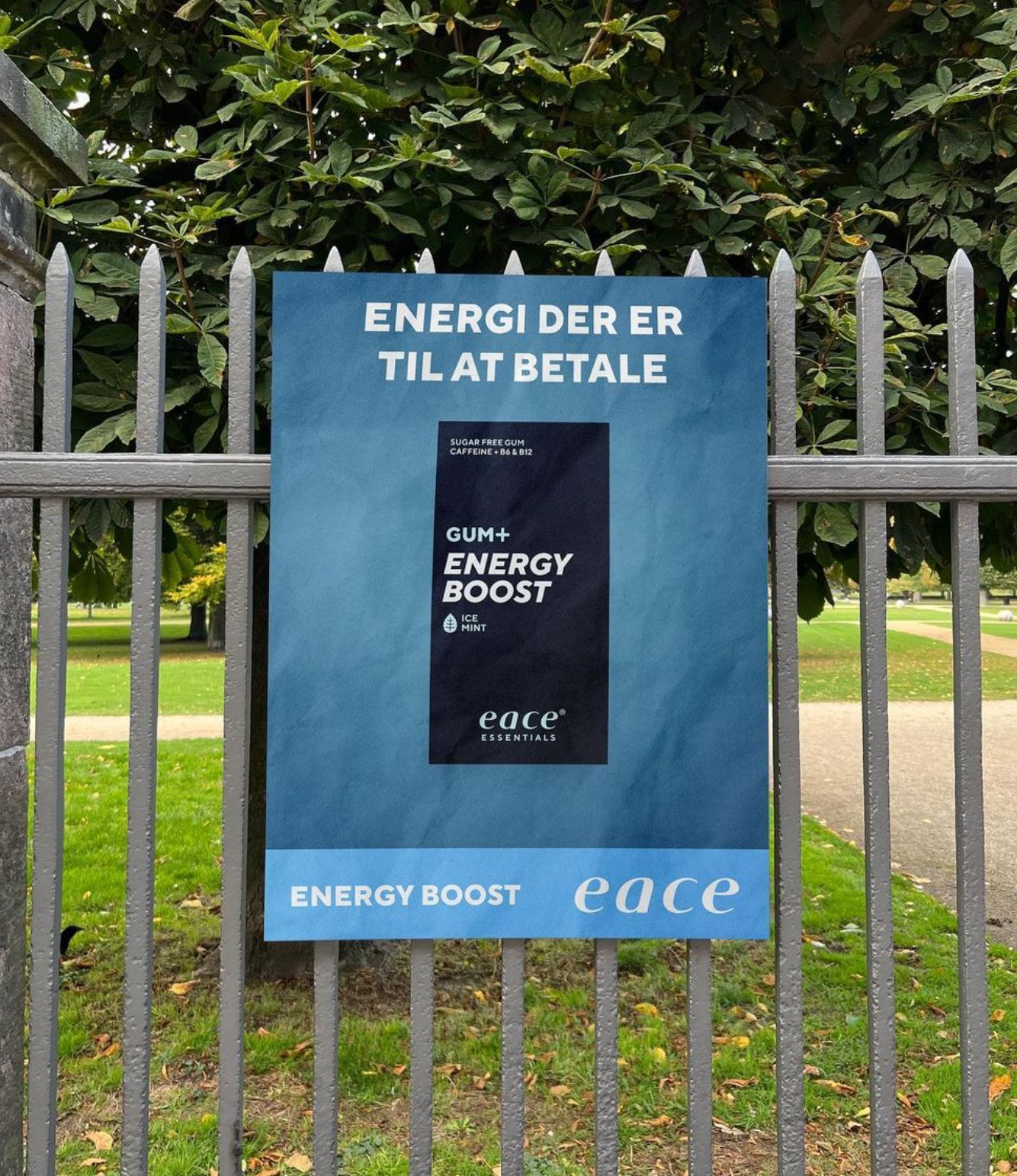 eace-election-banner3.jpg