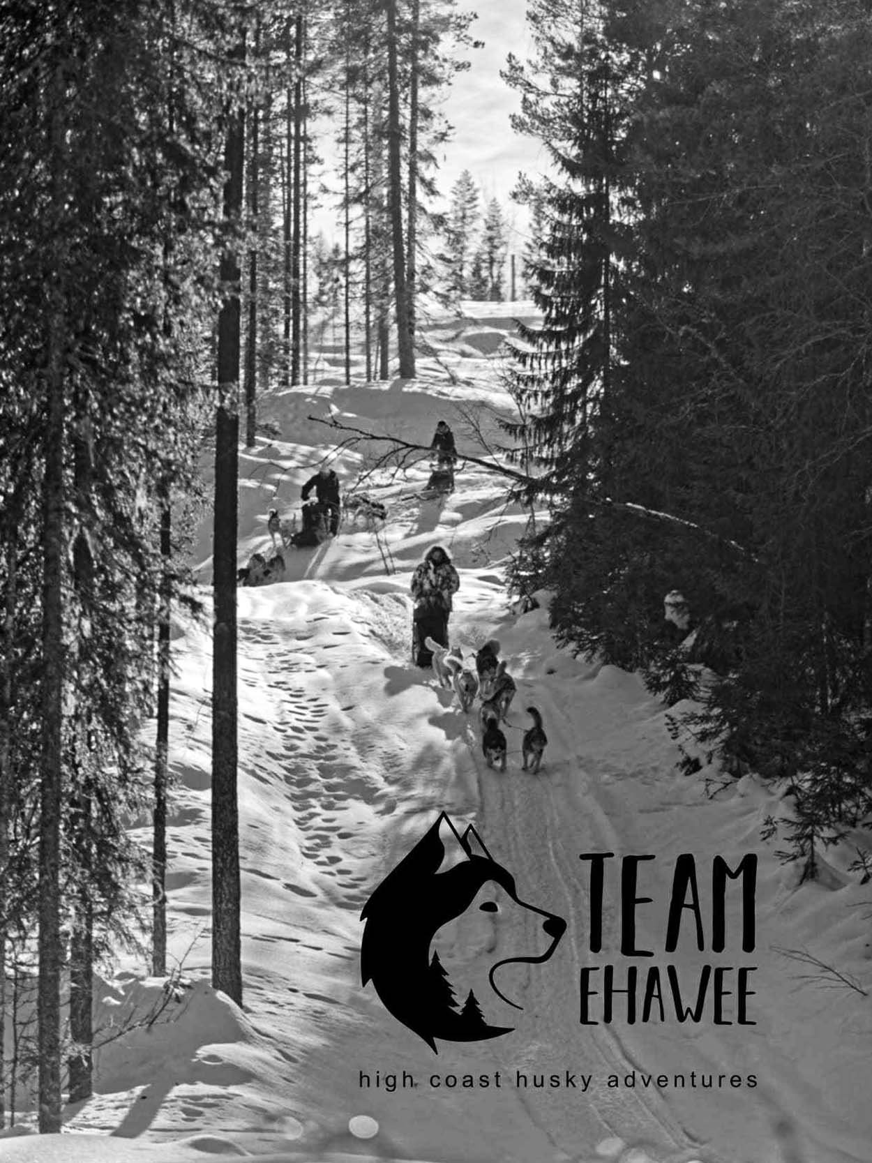 Människor på slädar som dras av huskyhundar genom en snötäckt skog.