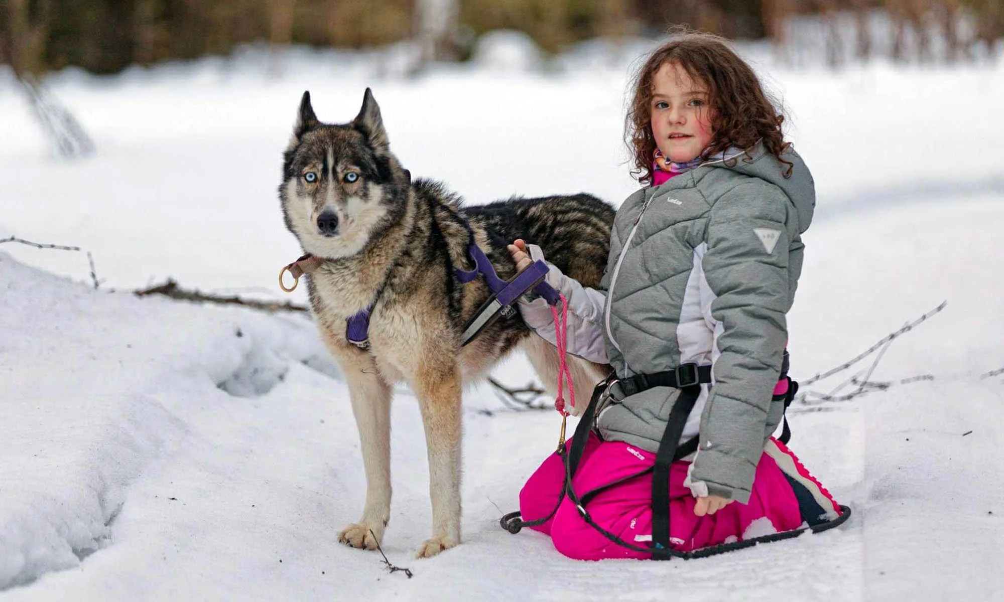 En flicka sitter bredvid en huskyhund.
