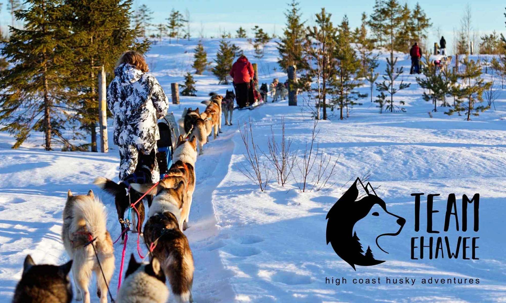 Människor på slädar som dras av huskyhundar genom en snötäckt skog.