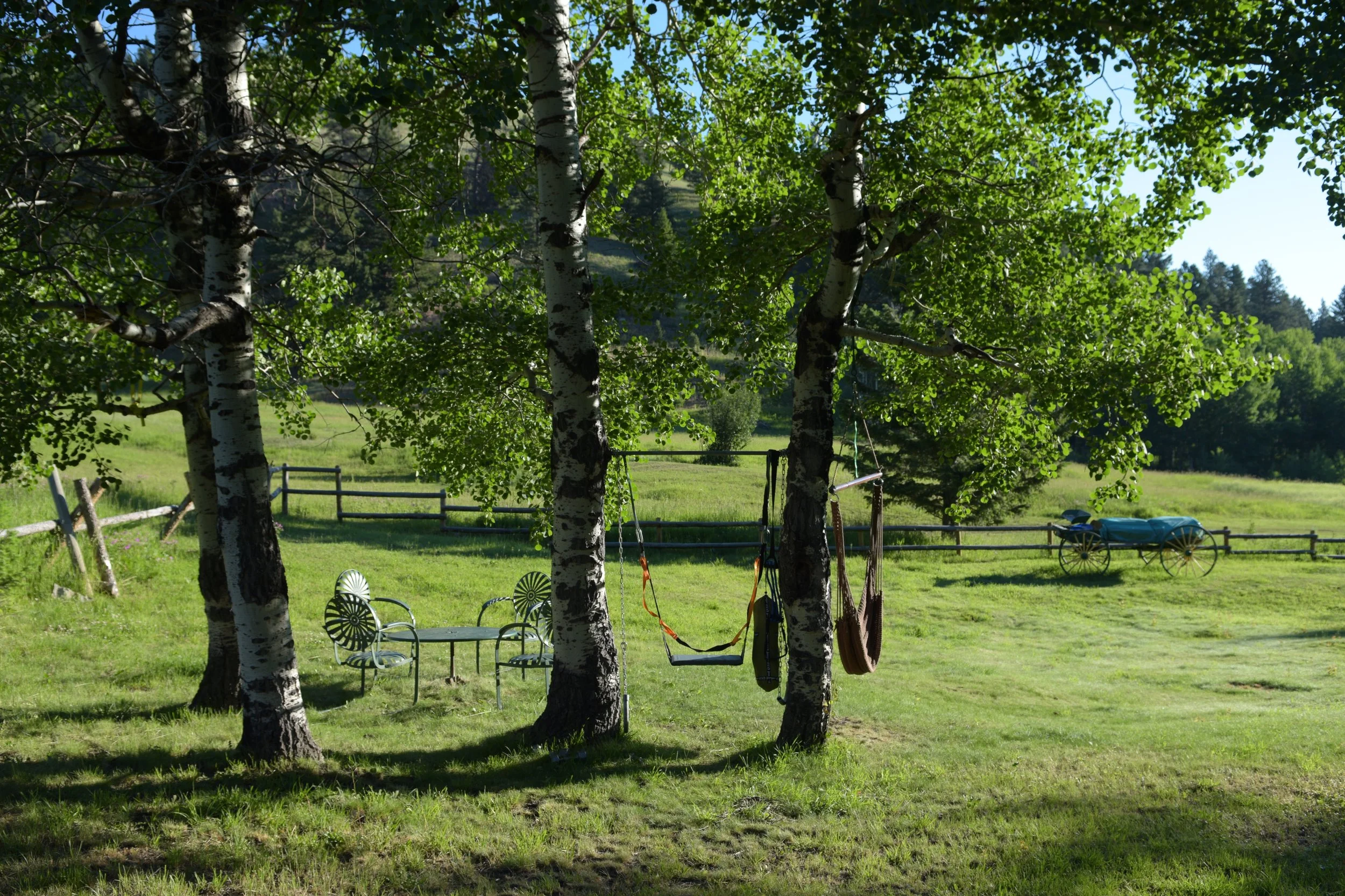 Sand and repaint vintage metal chairs under aspen grove: $150/chair