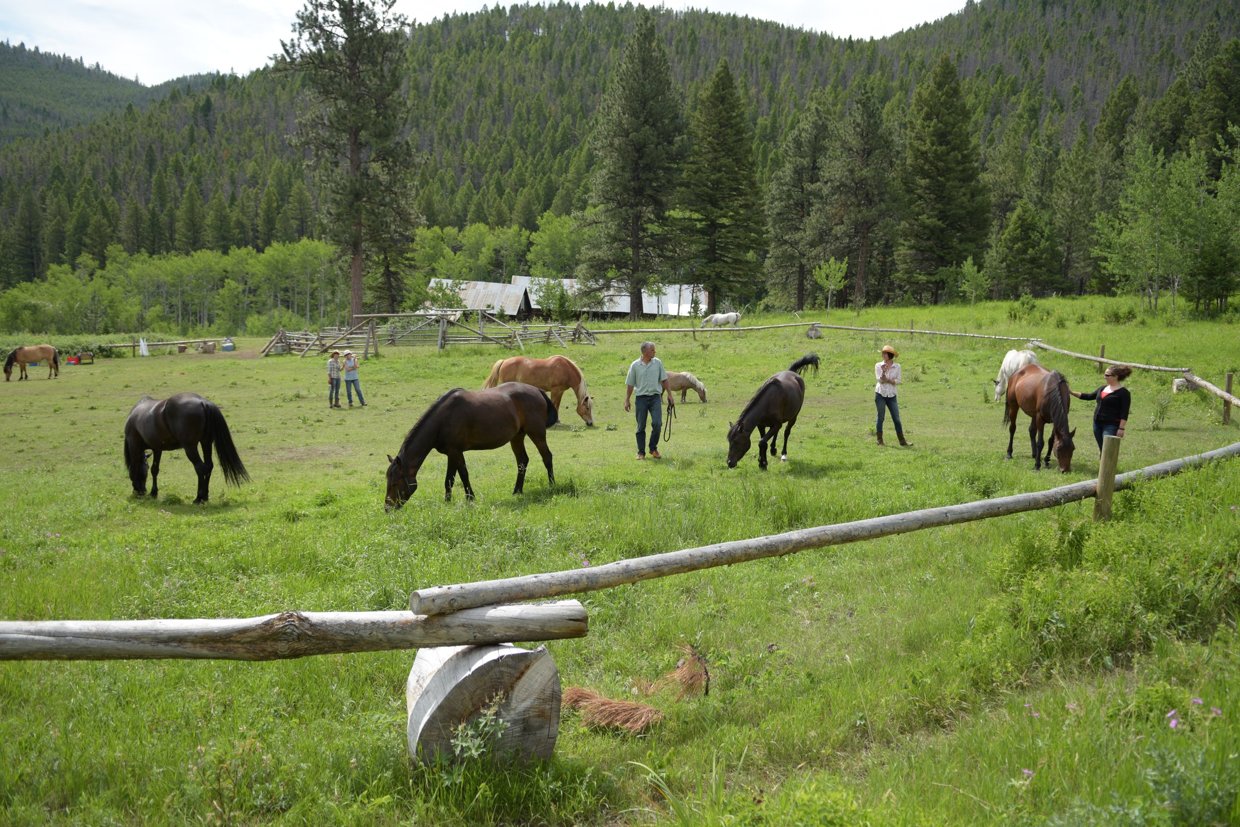 Convert barn into bunkhouse: $?