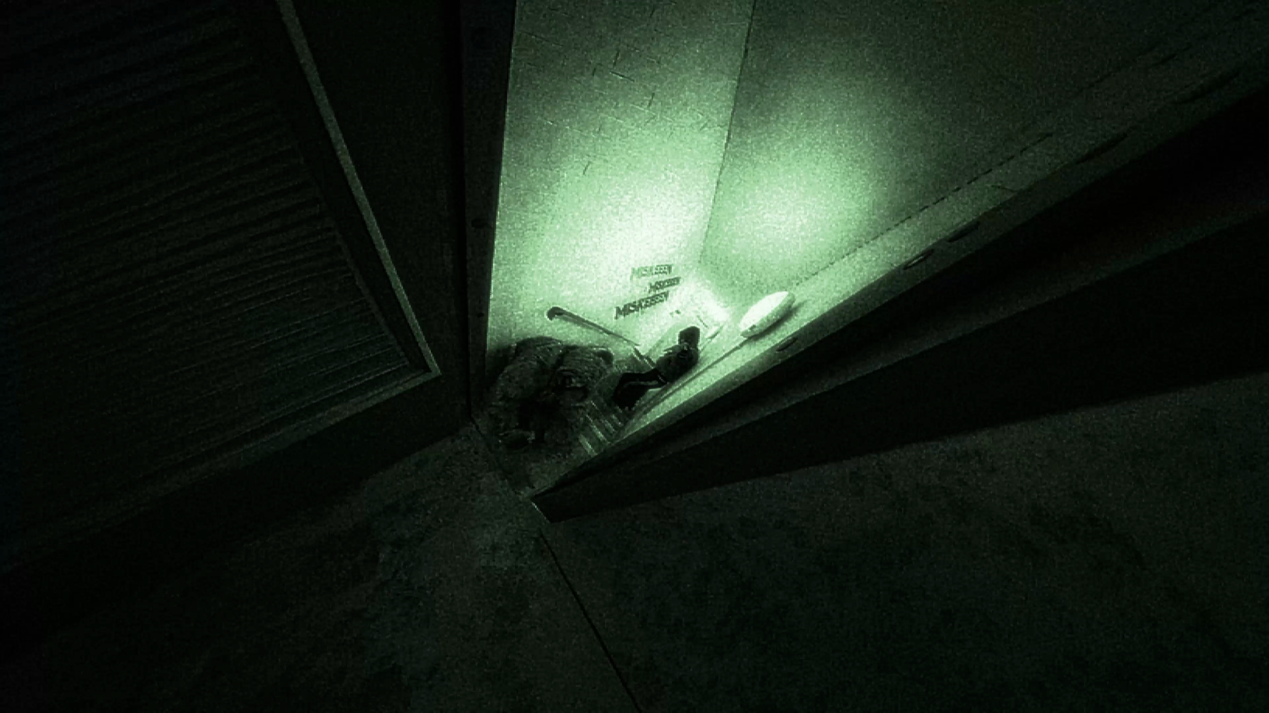 miskeen website photo.png