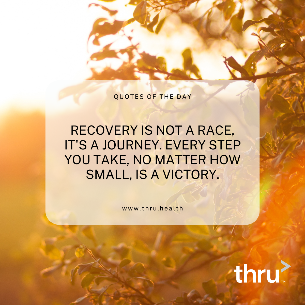 O'Neill - Explorations in Recovery 
