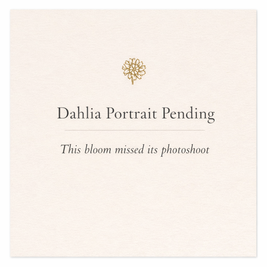 Black Satin - Collector Variety